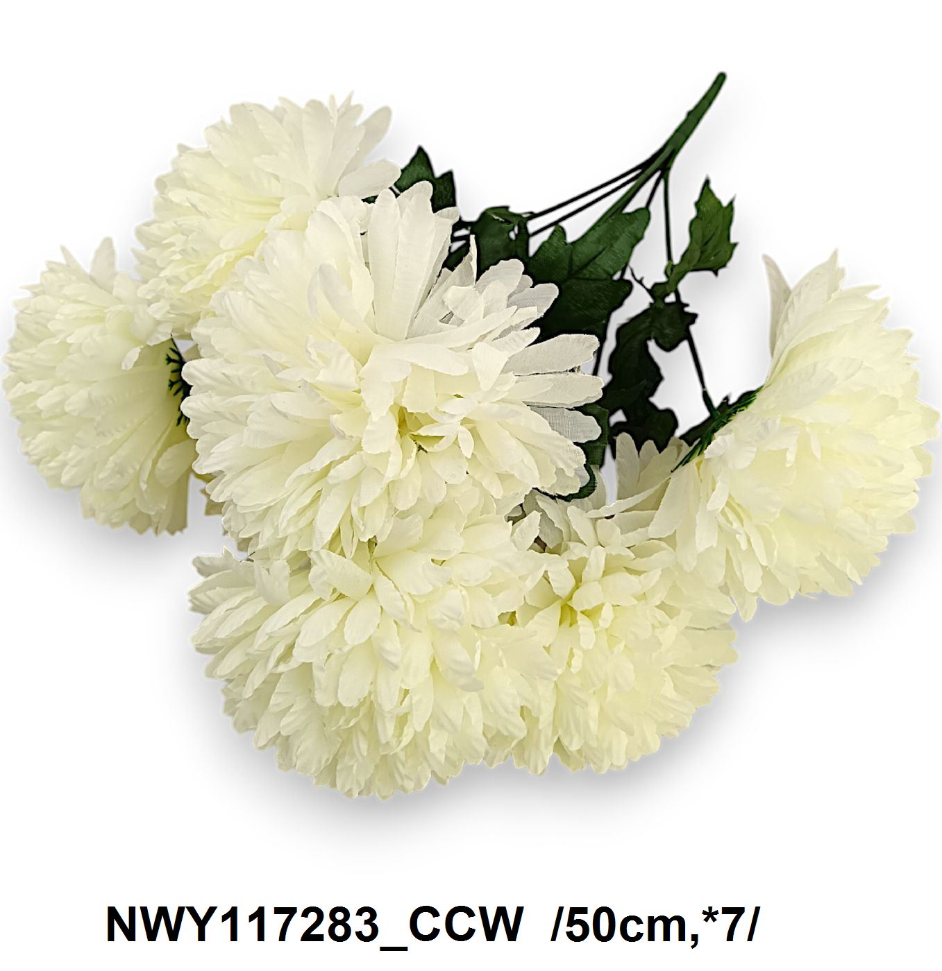 NWY117283_CCW