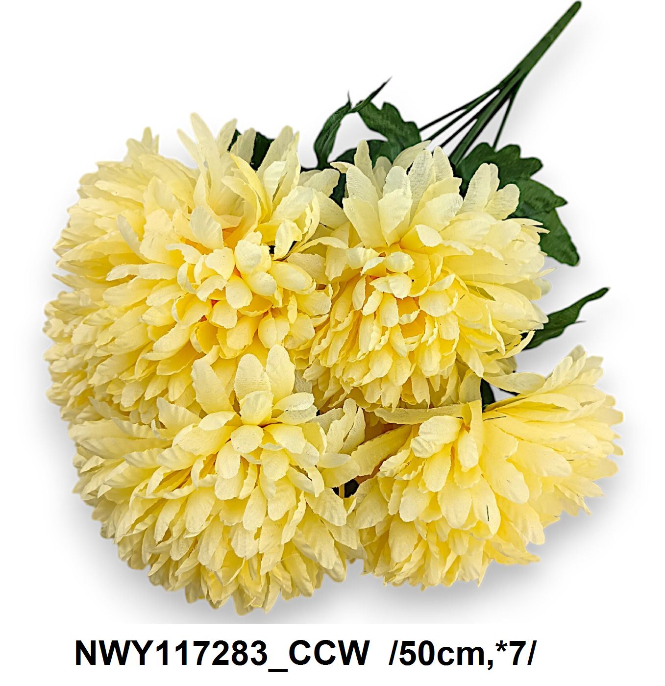 NWY117283_CCW