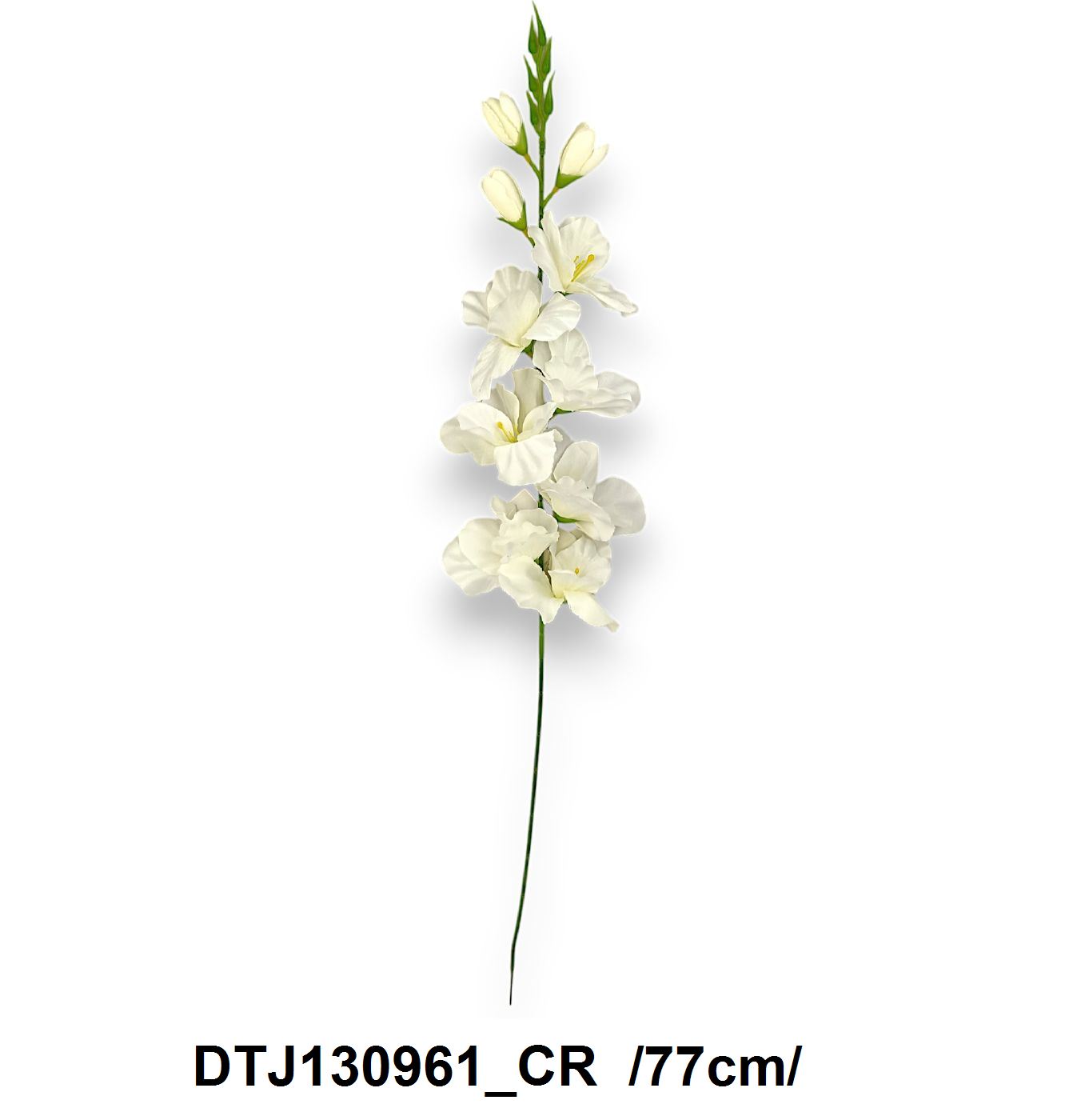 DTJ130961_CR