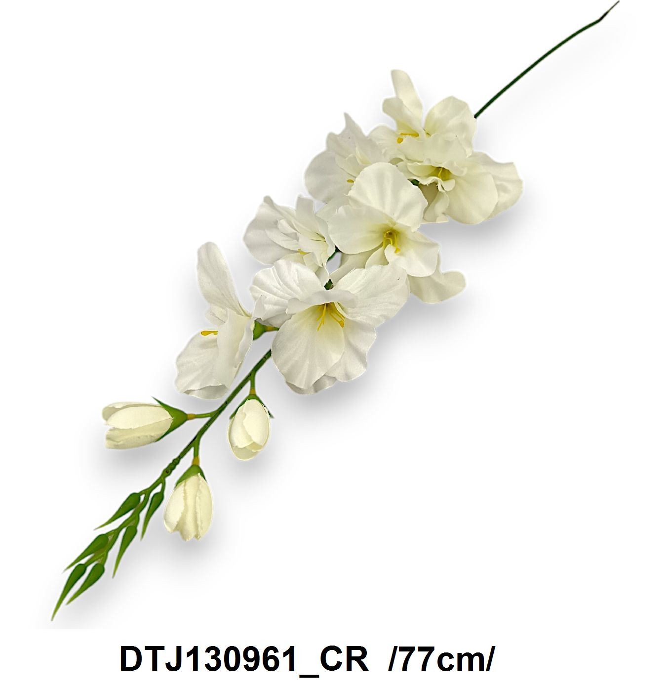 DTJ130961_CR