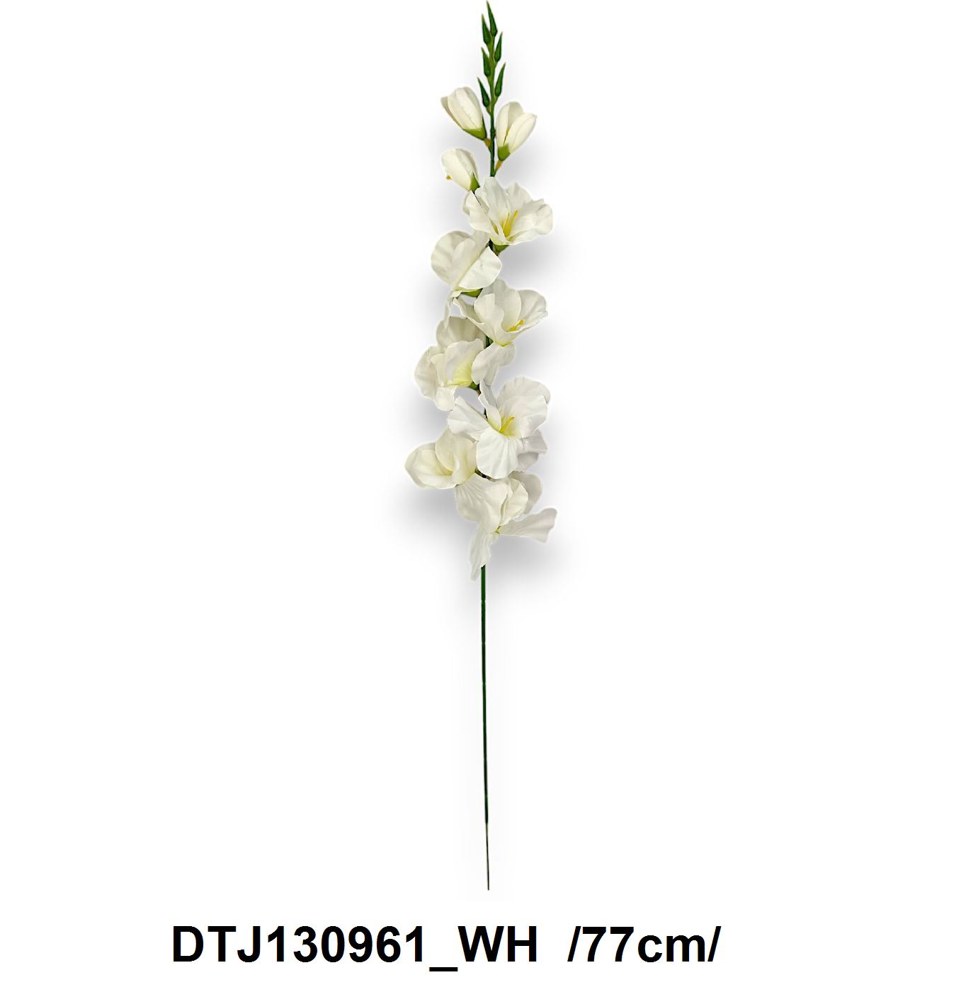 DTJ130961_WH