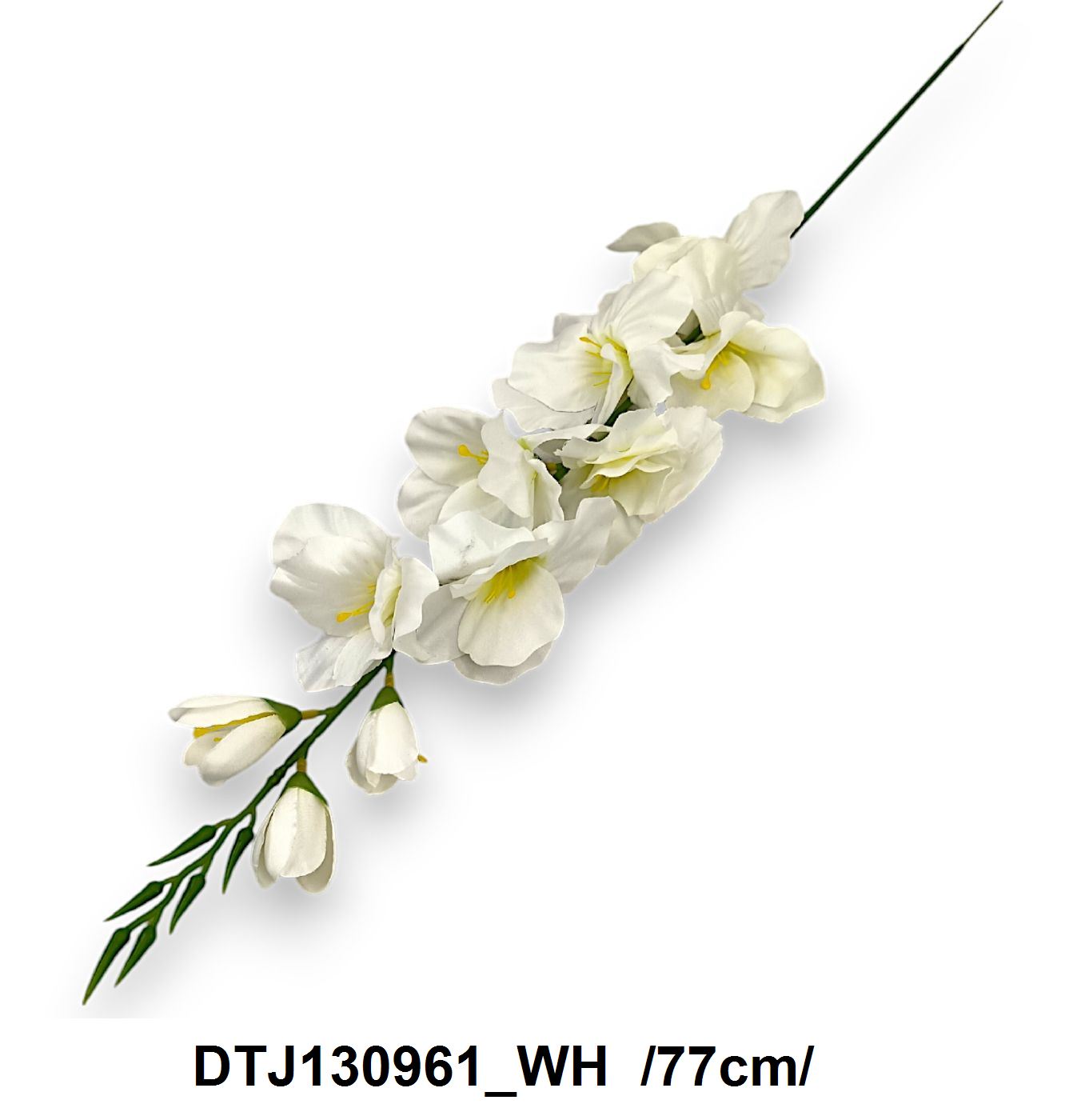 DTJ130961_WH