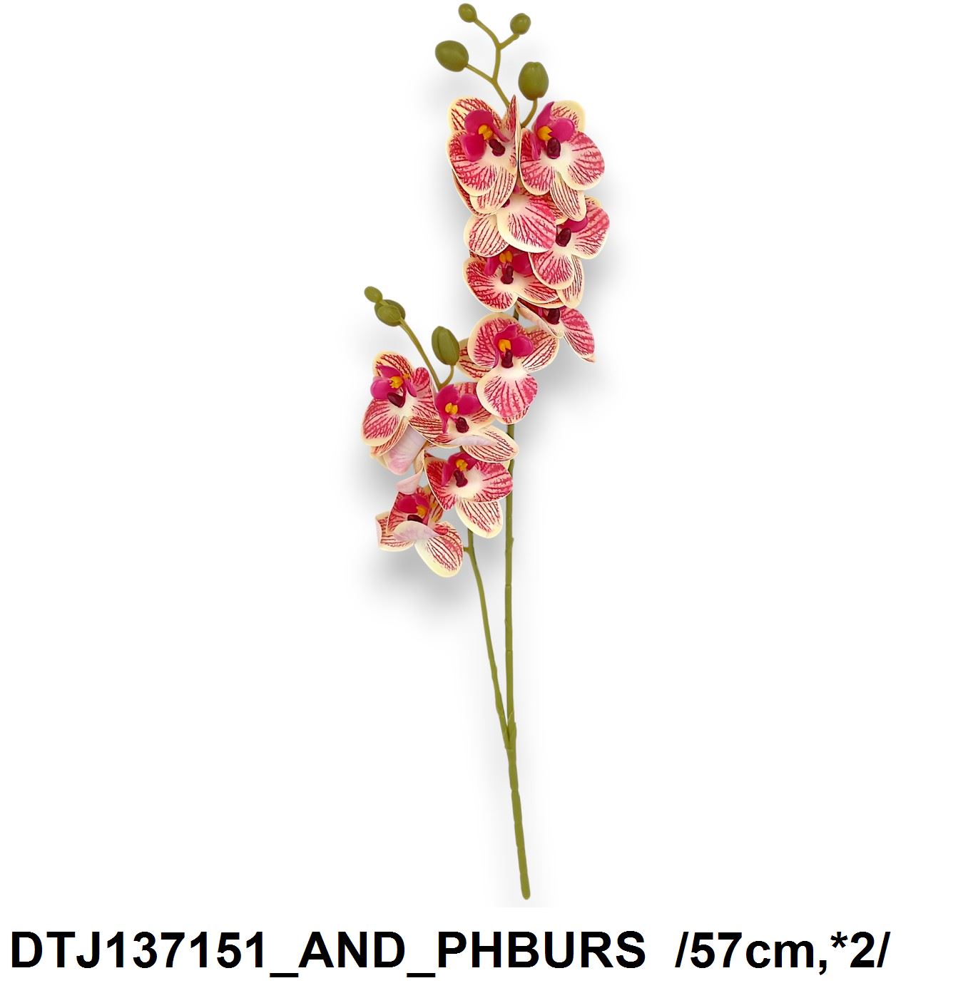 DTJ137151_AND_PHBURS