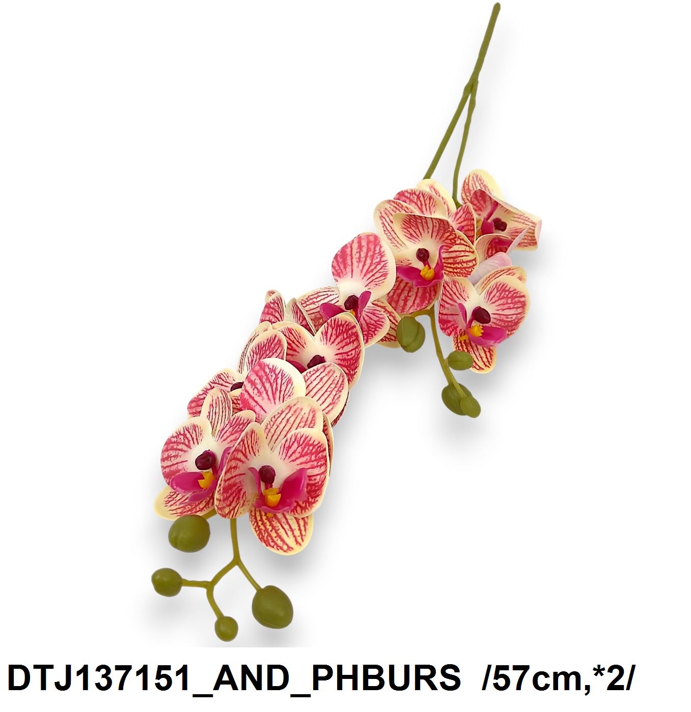 DTJ137151_AND_PHBURS