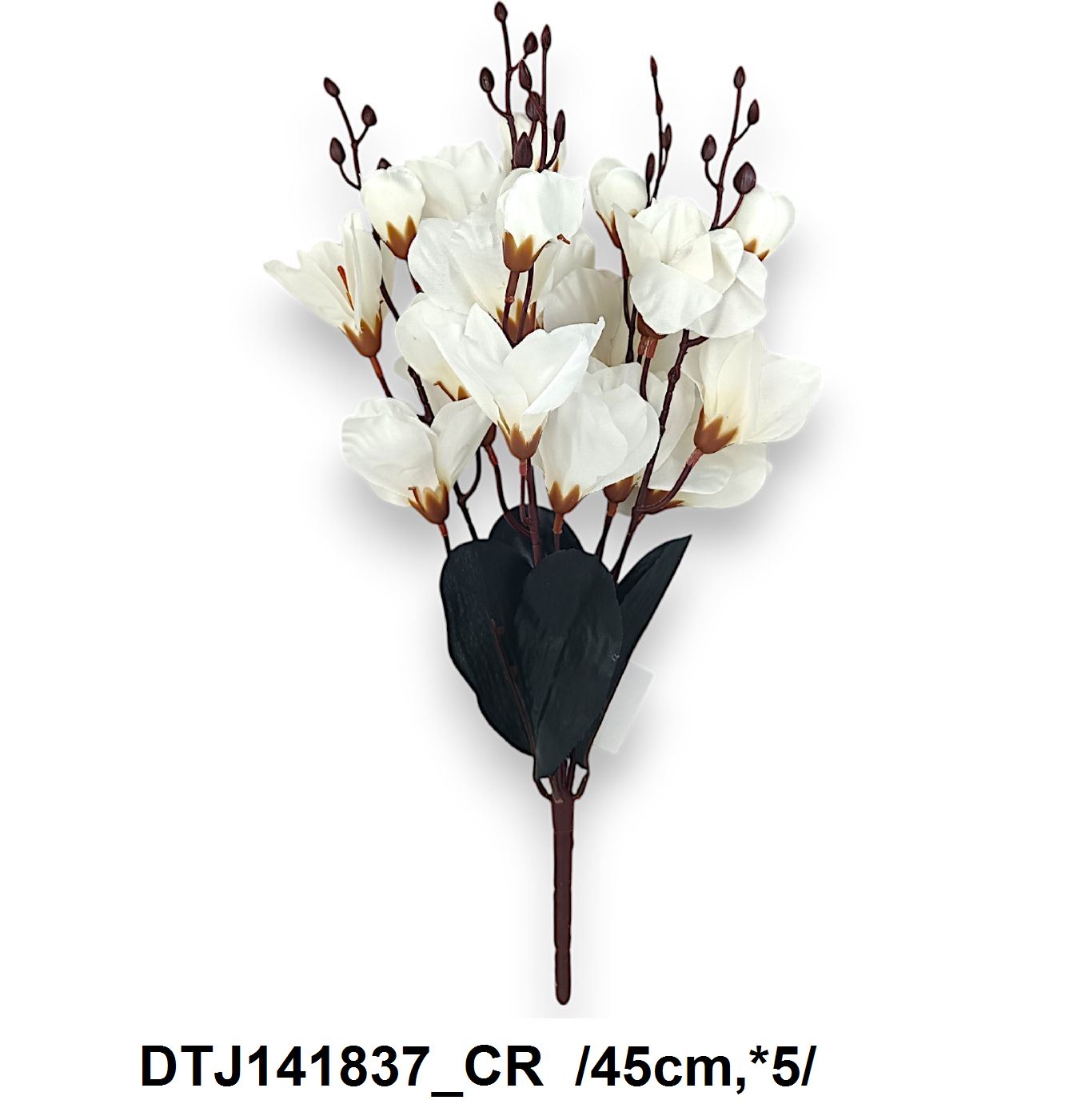 DTJ141837_CR
