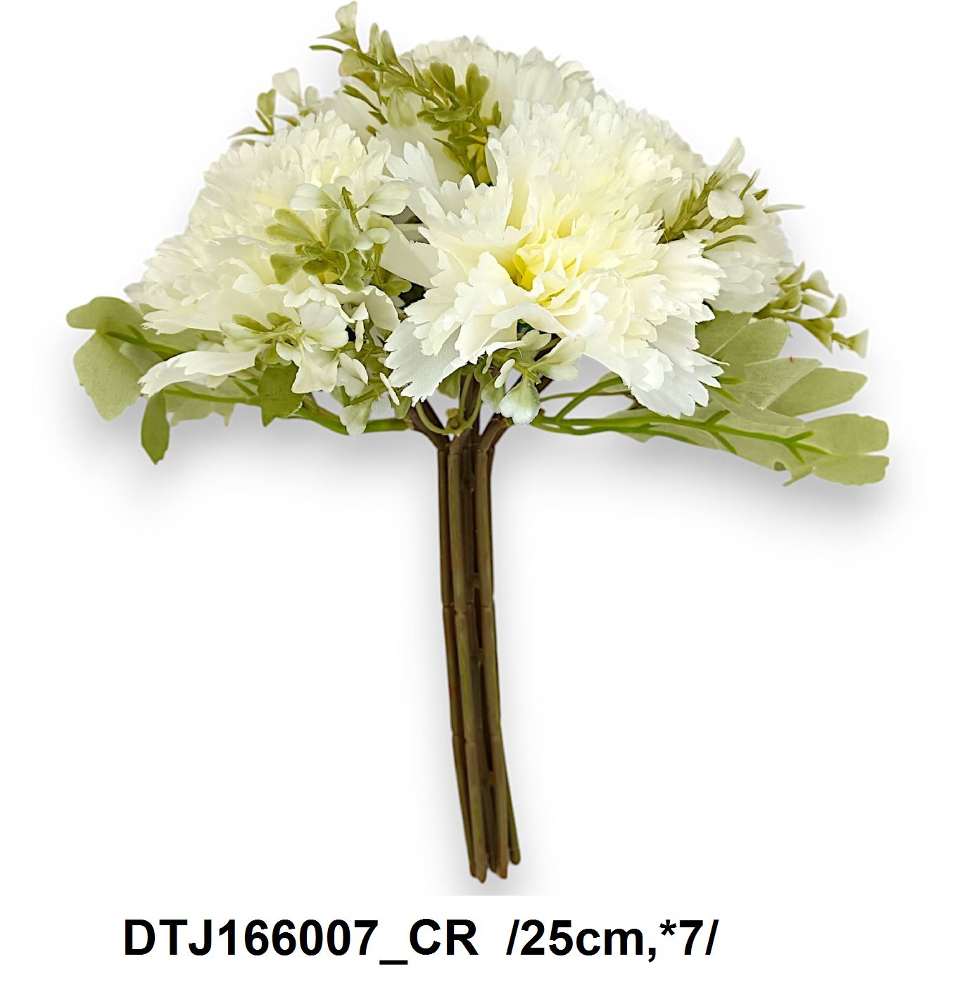 DTJ166007_CR