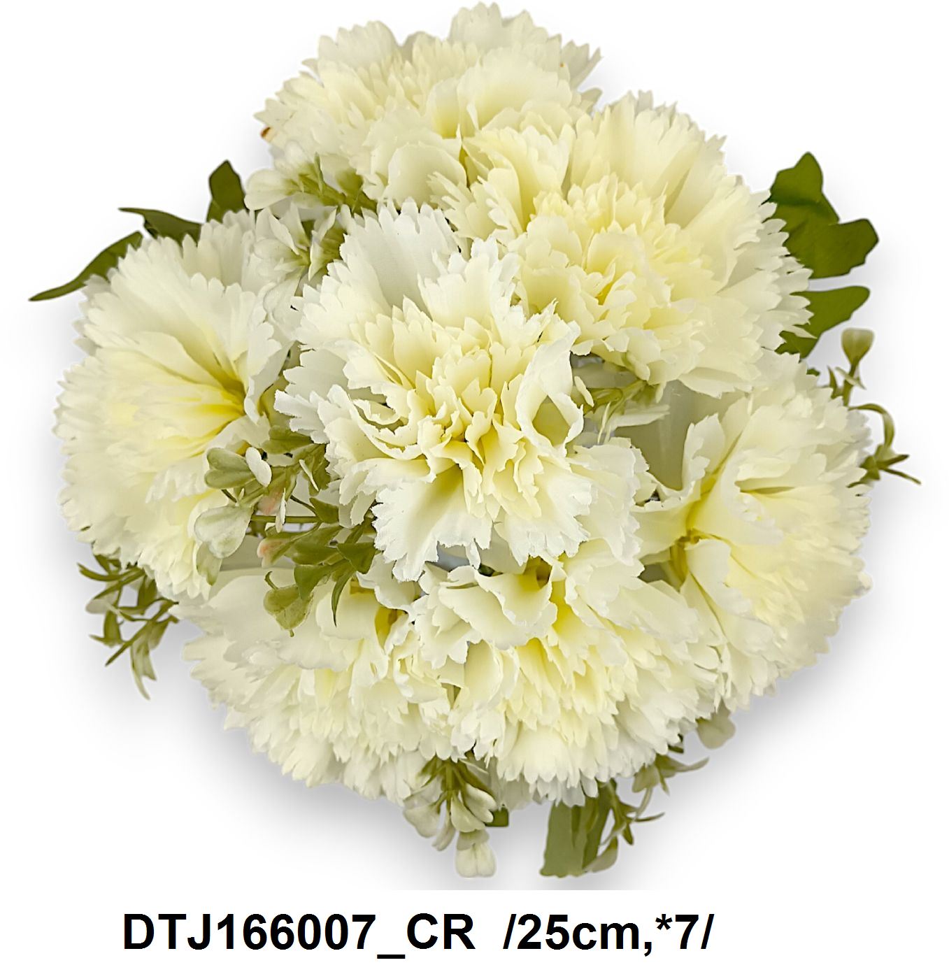 DTJ166007_CR