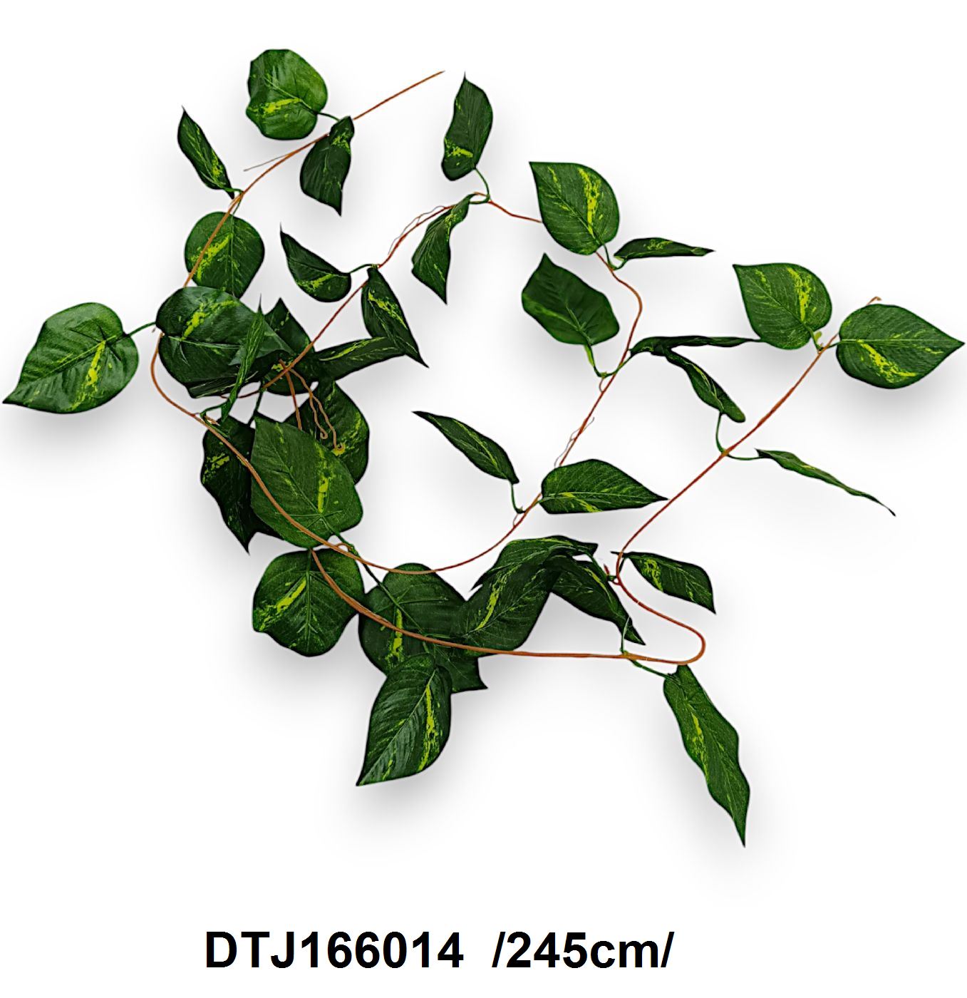DTJ166014