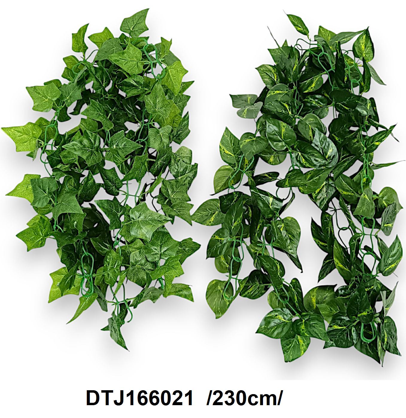 DTJ166021