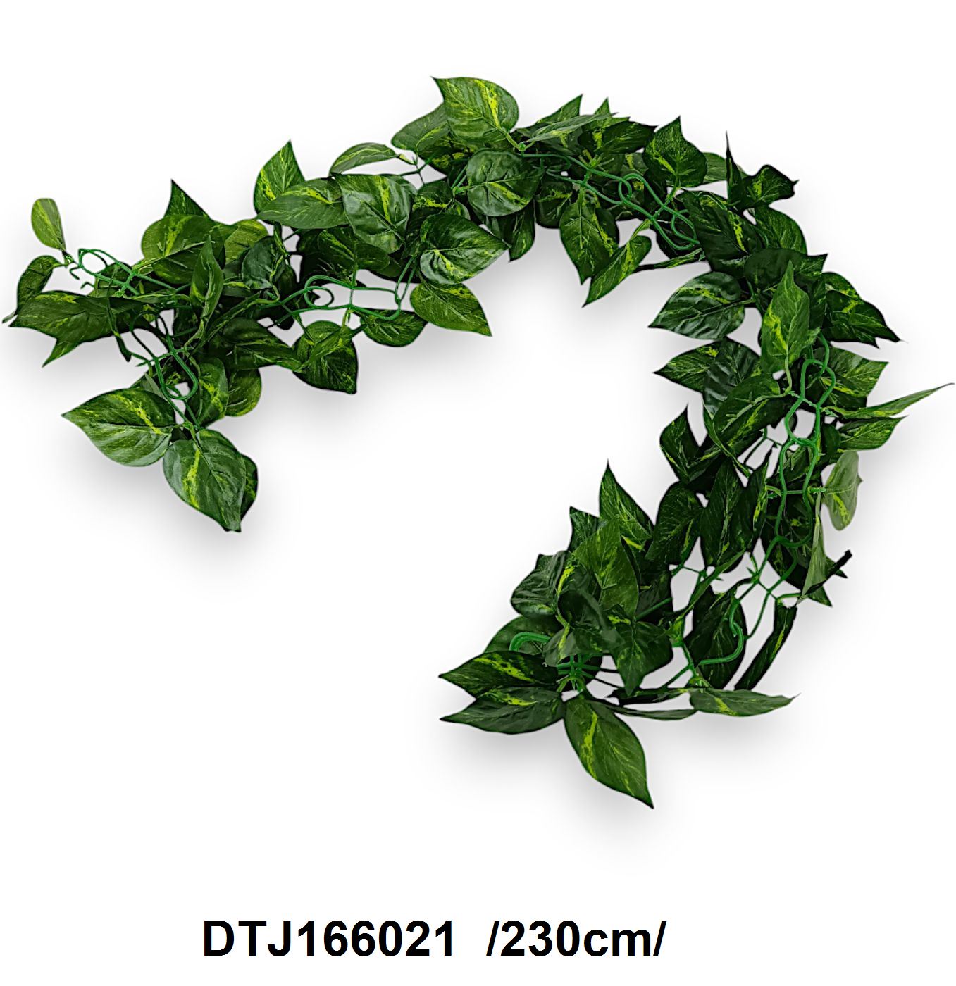 DTJ166021