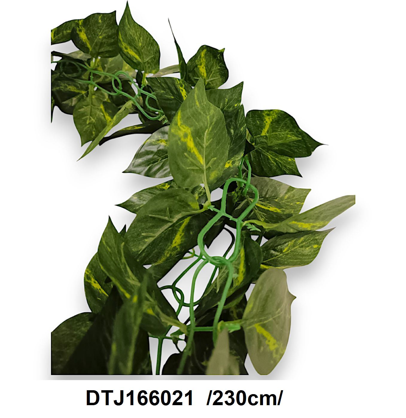 DTJ166021