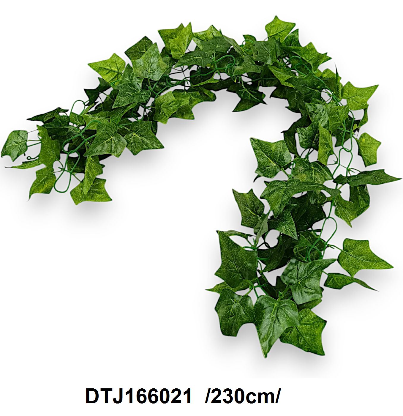 DTJ166021