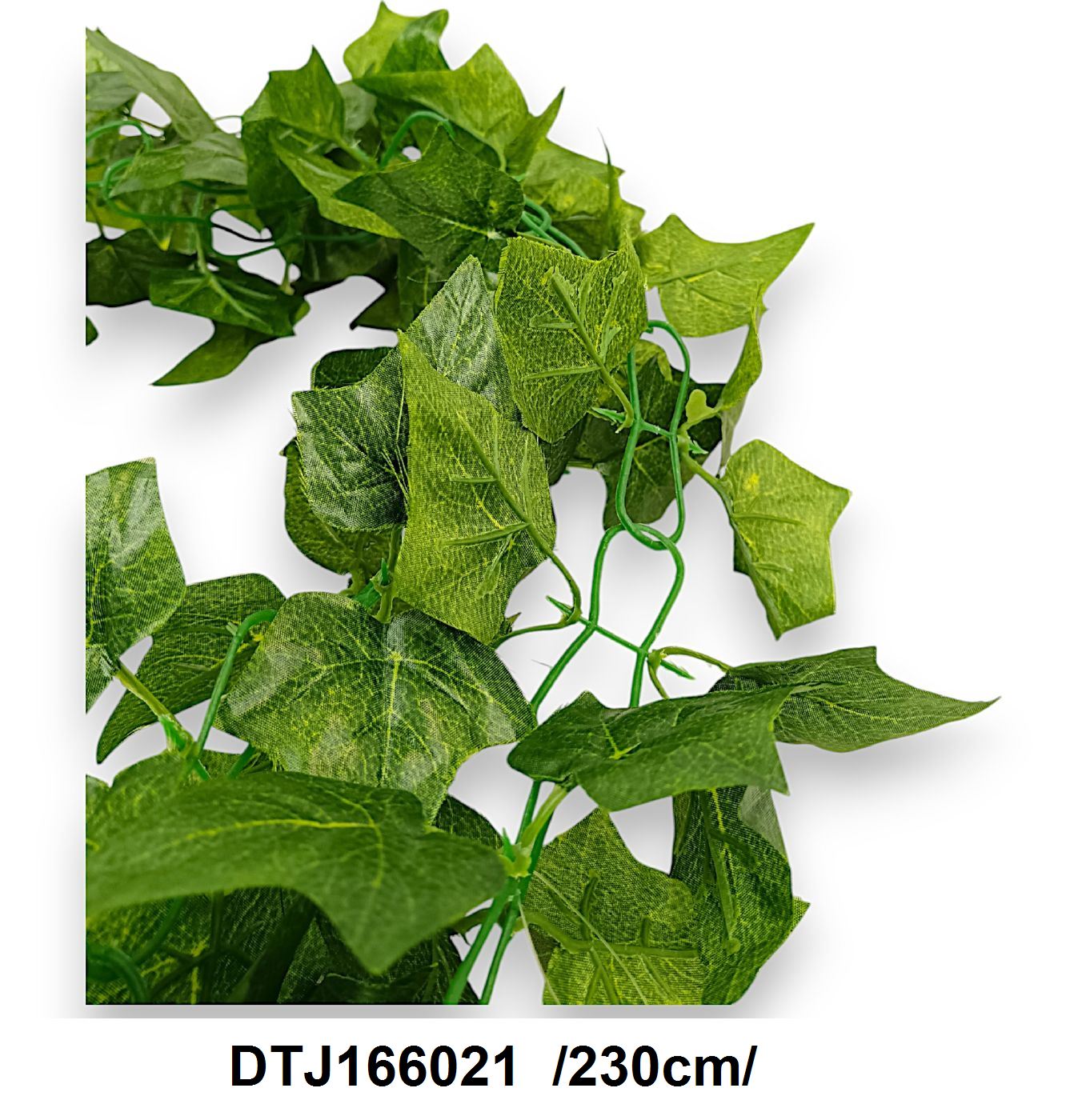 DTJ166021