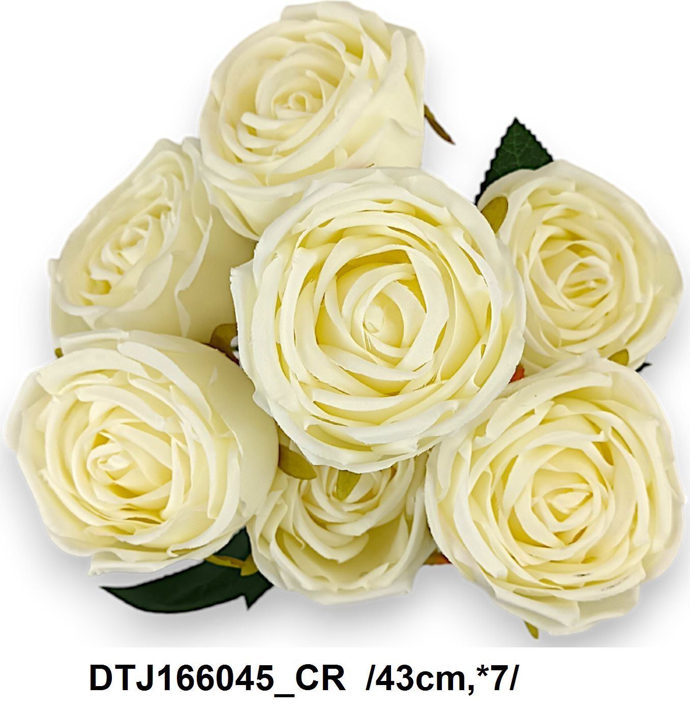 DTJ166045_CR