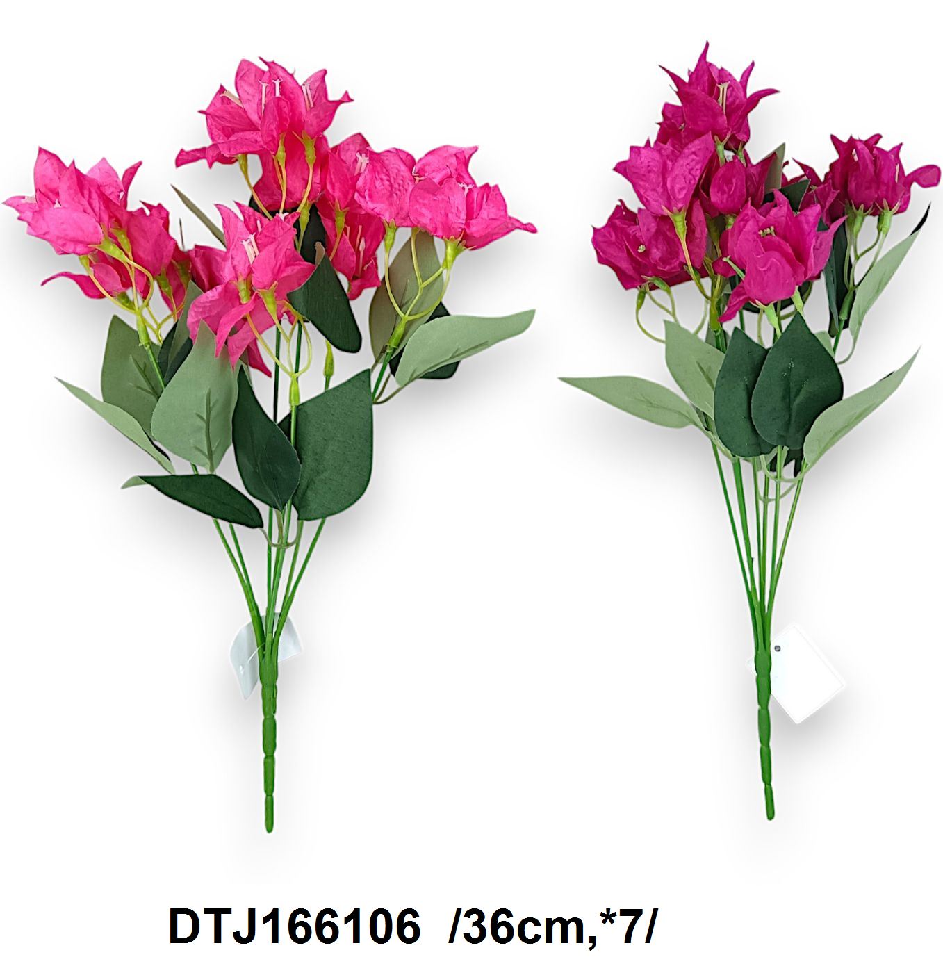 DTJ166106