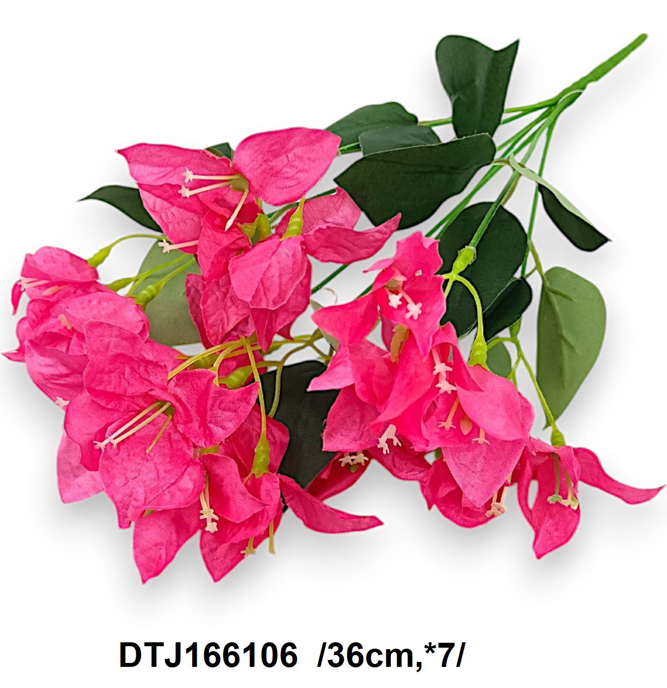 DTJ166106