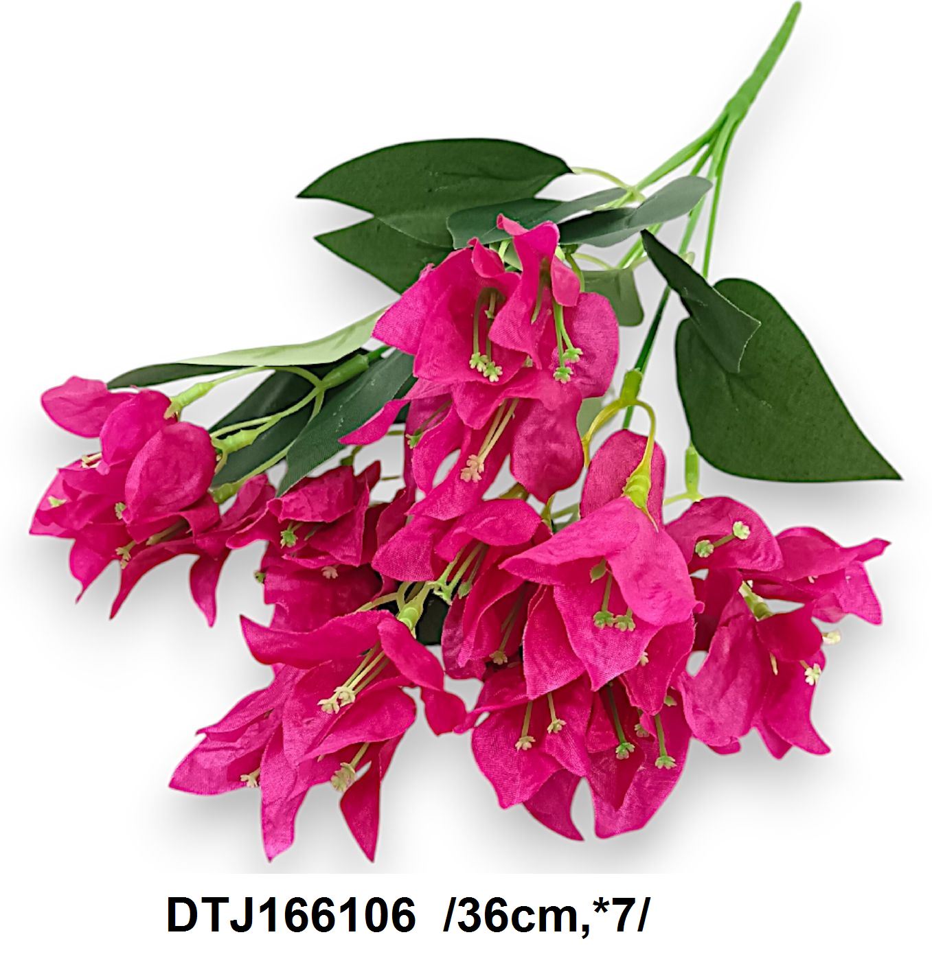 DTJ166106