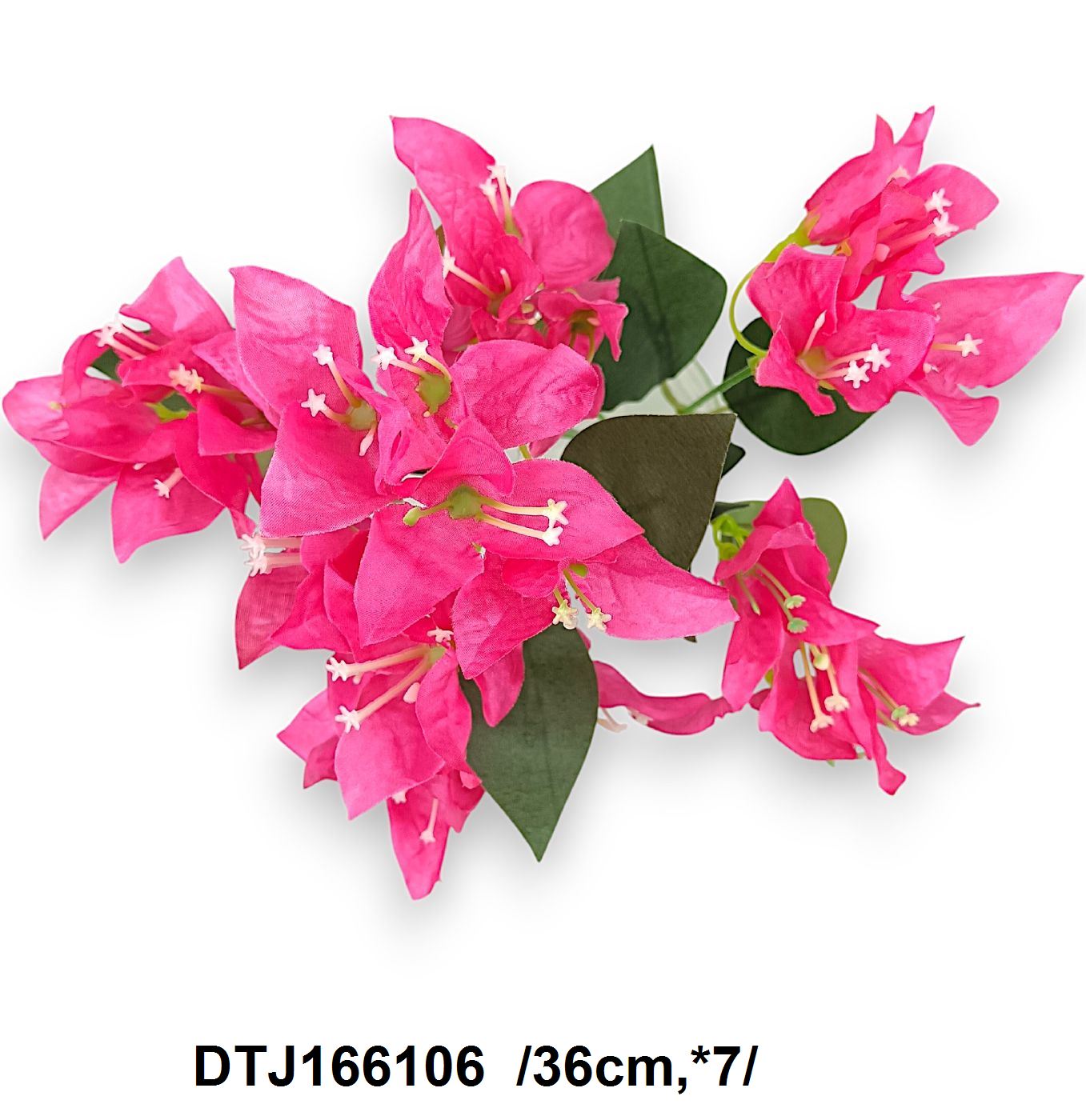 DTJ166106