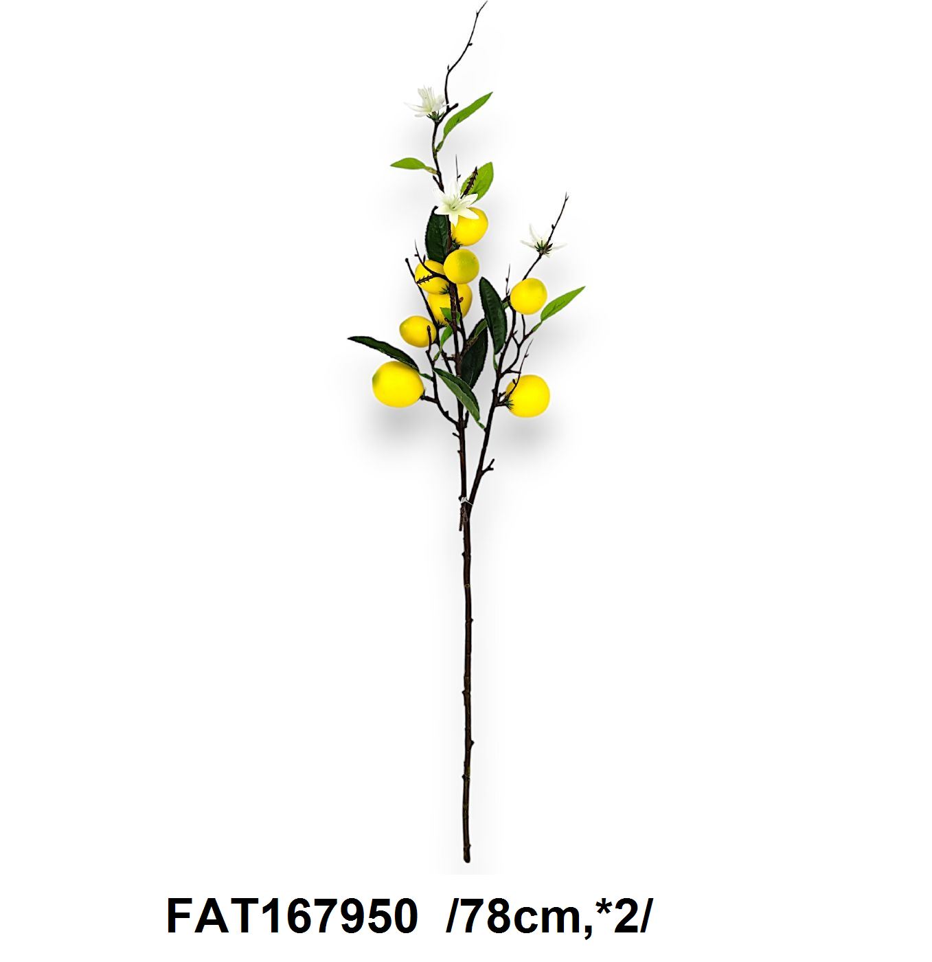 FAT167950