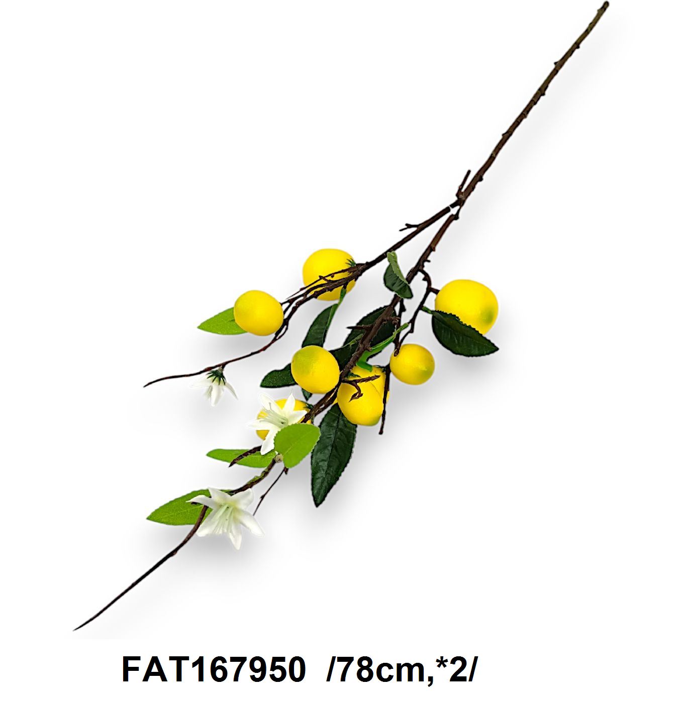 FAT167950