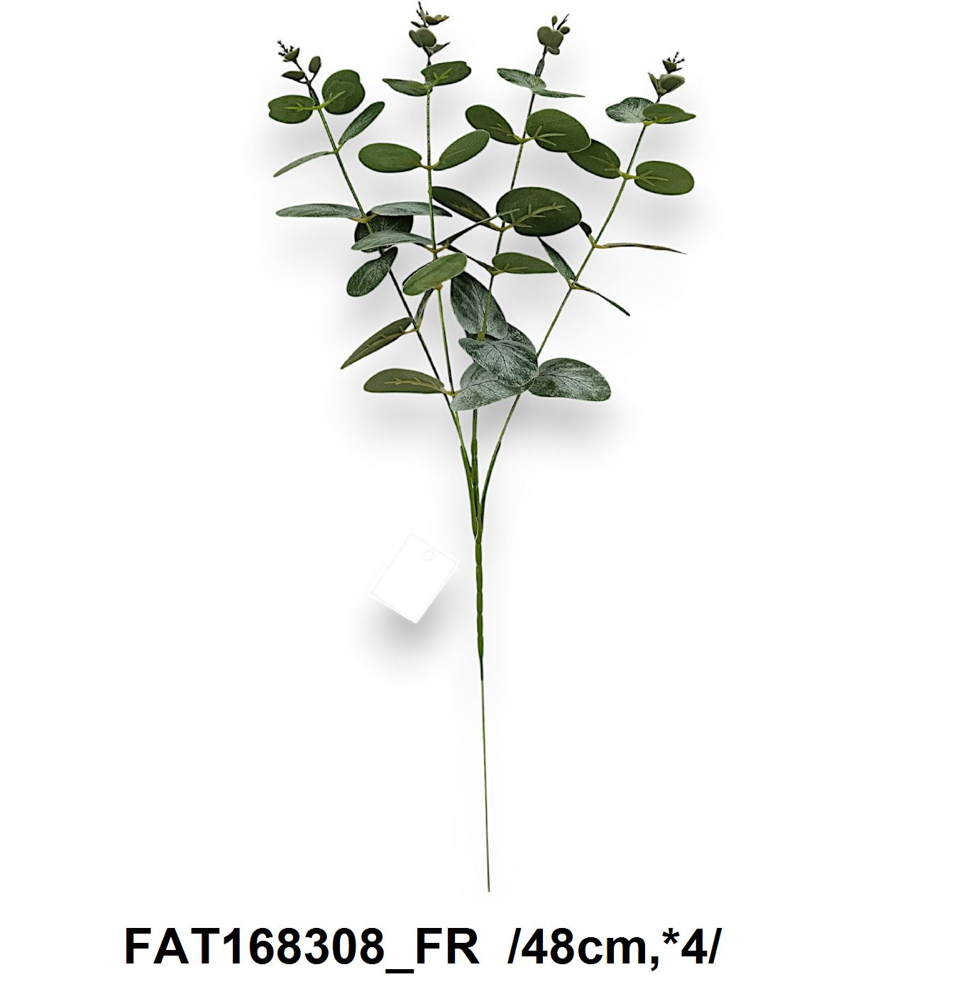 FAT168308_FR