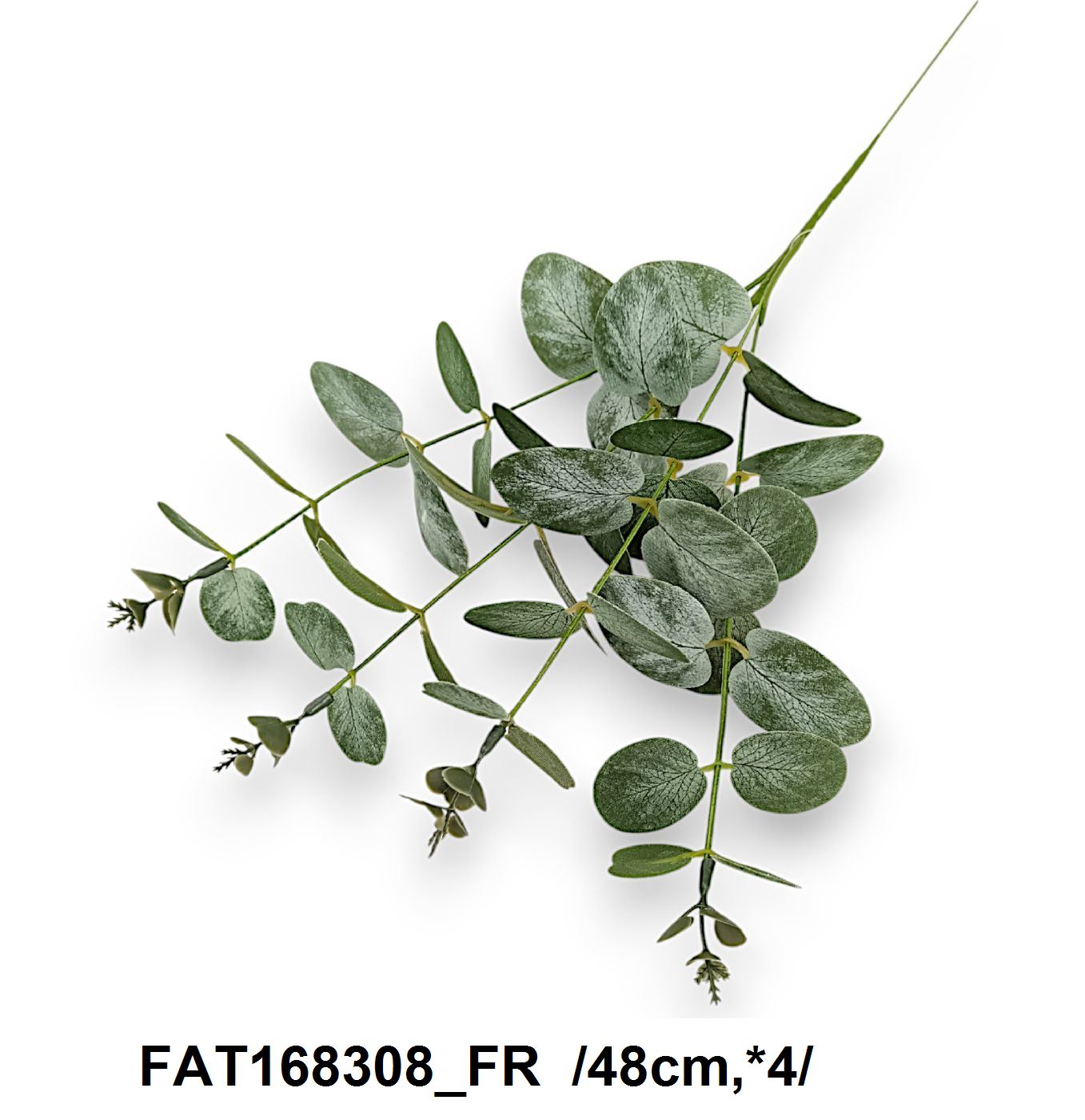 FAT168308_FR