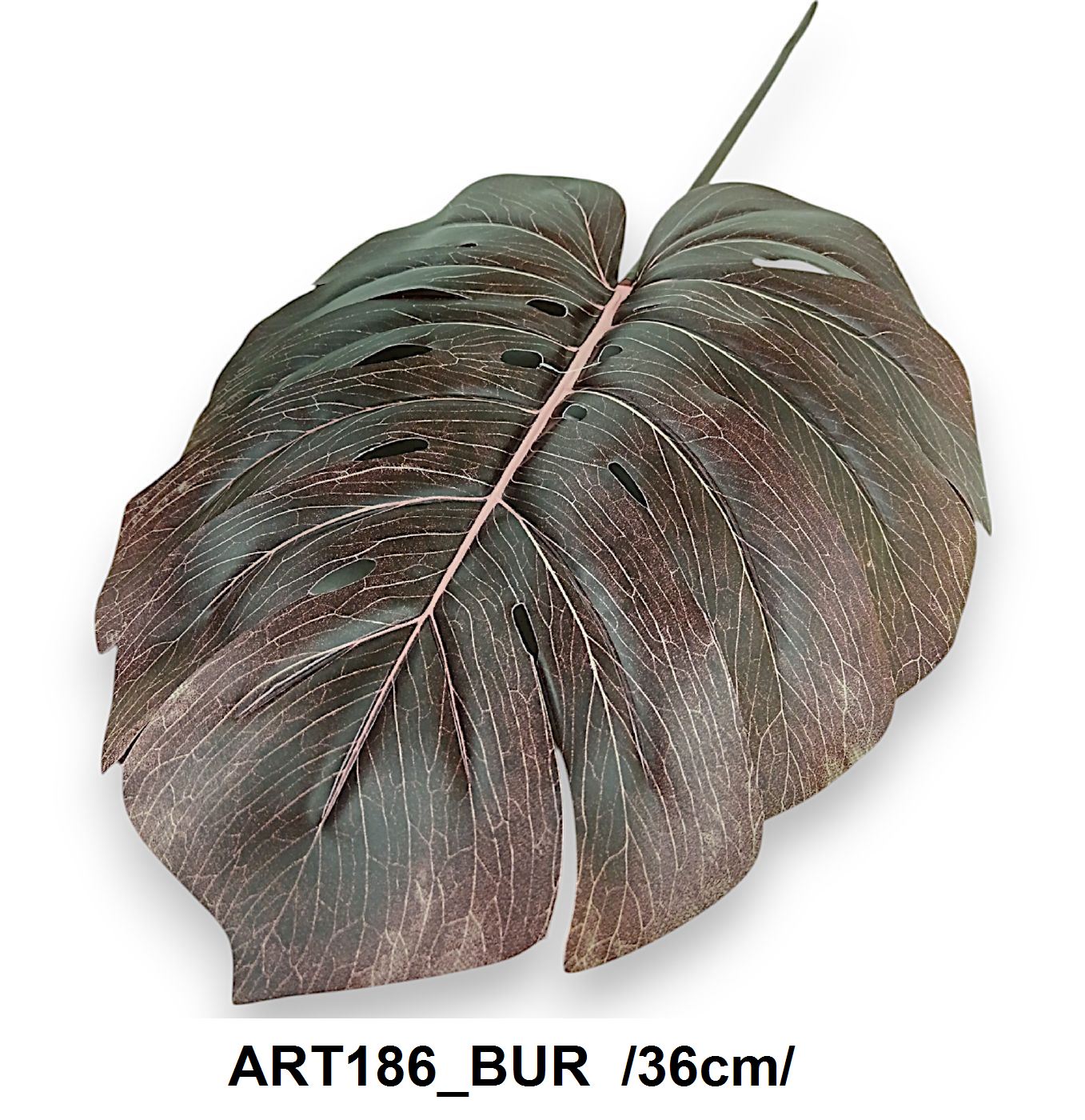 ART186_BUR