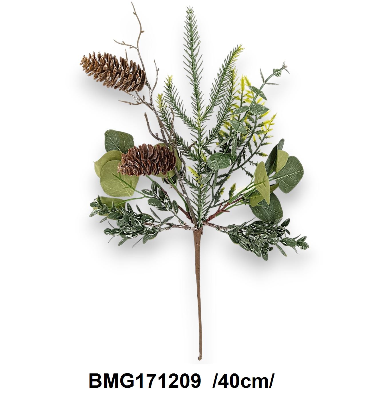 BMG171209