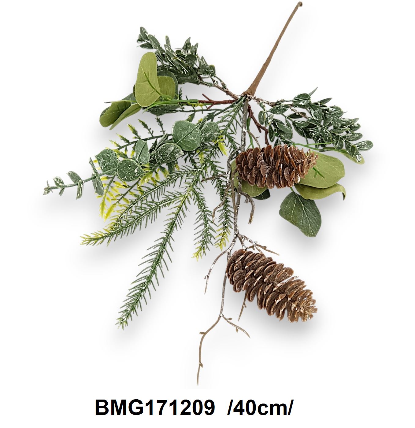 BMG171209