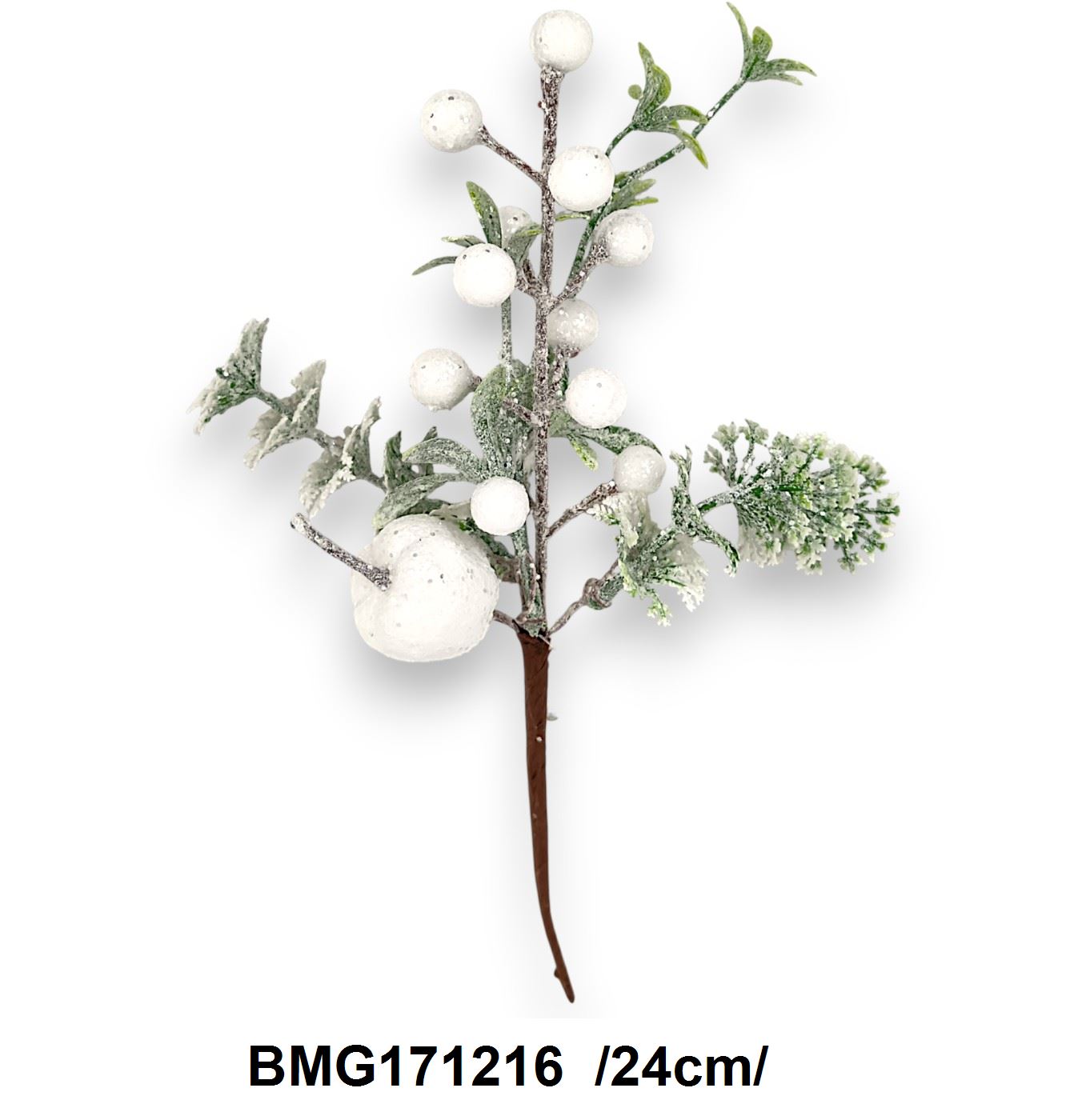 BMG171216