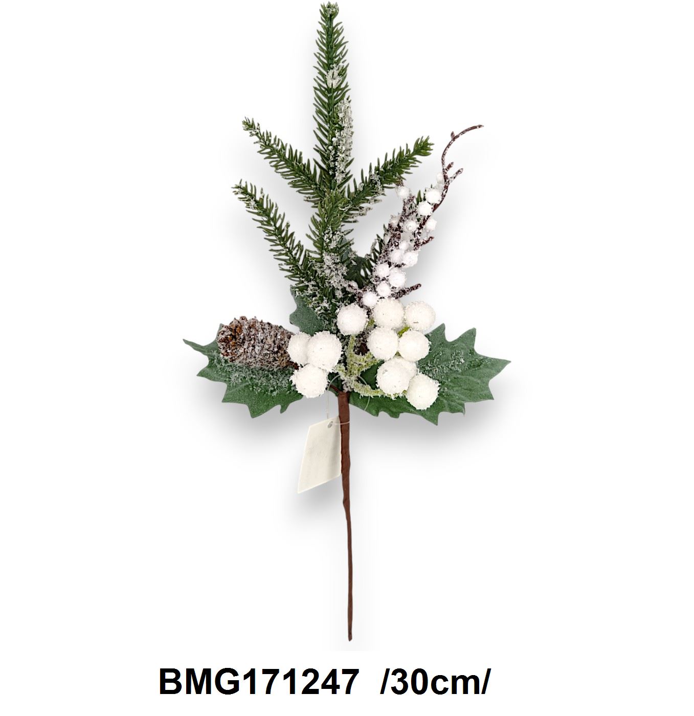 BMG171247