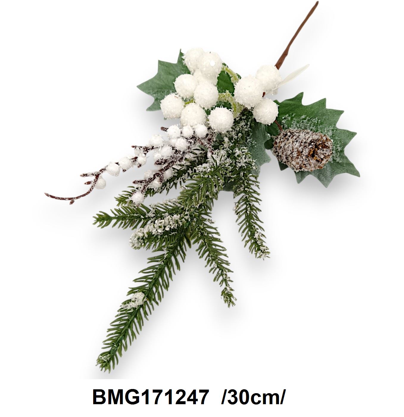 BMG171247