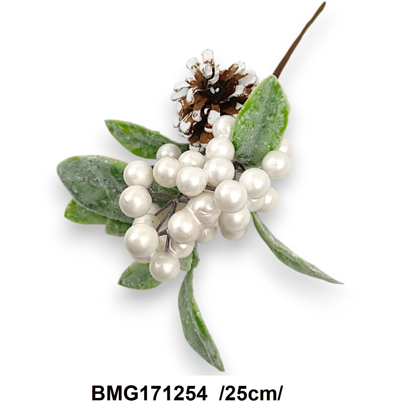BMG171254