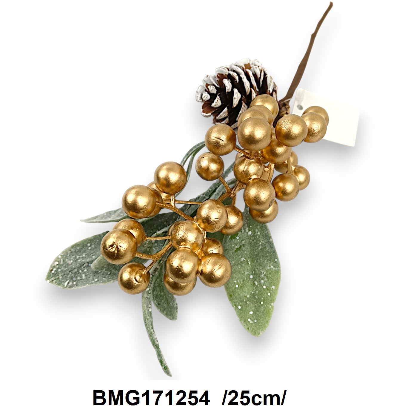 BMG171254