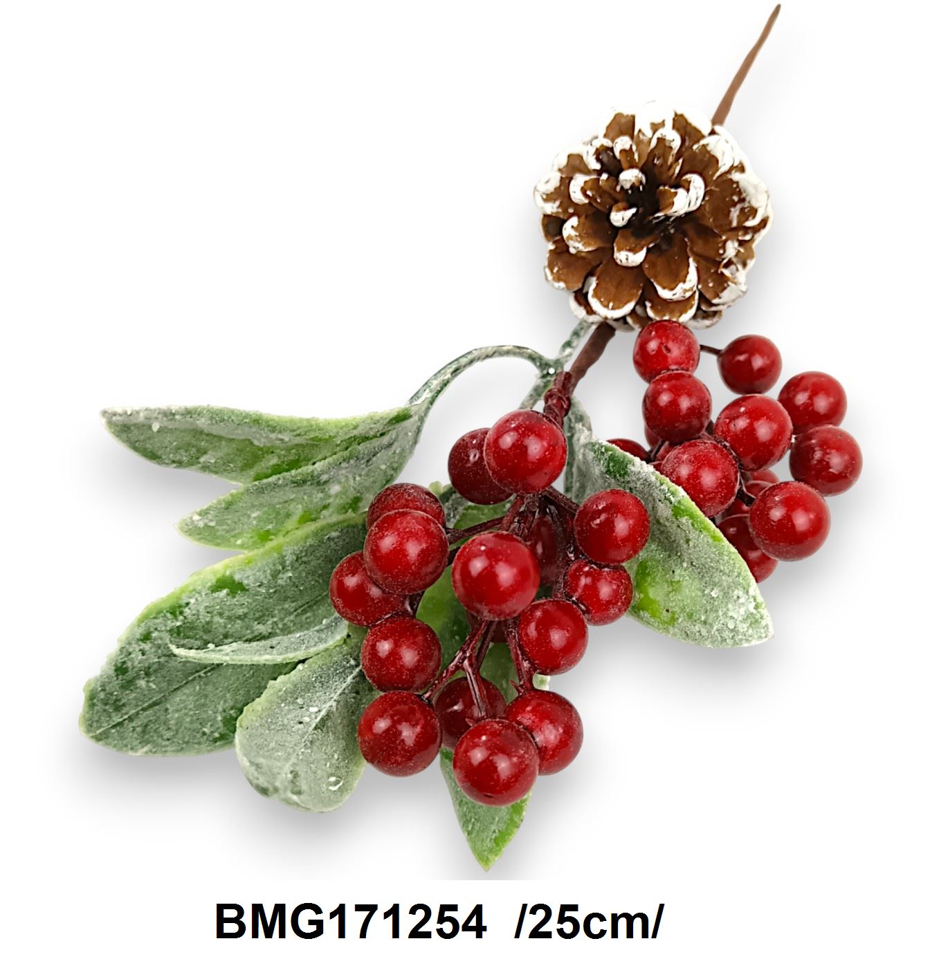 BMG171254