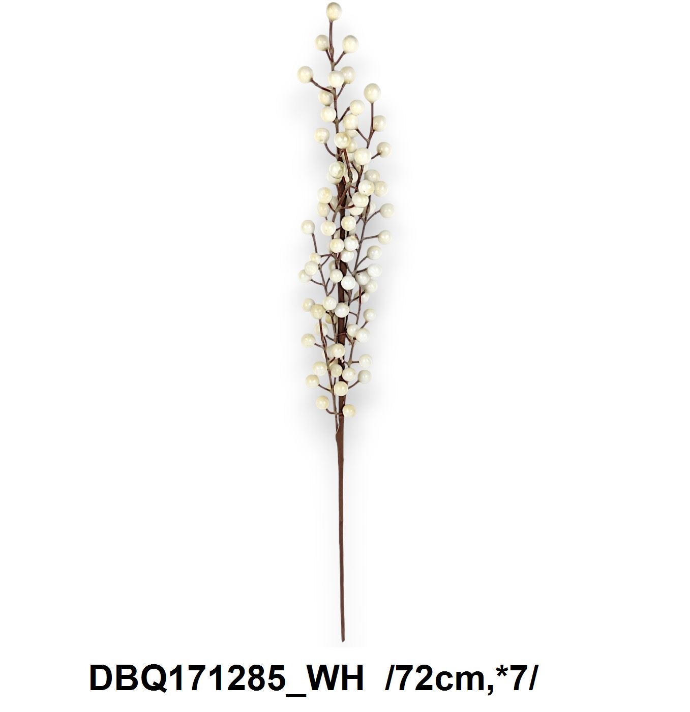 DBQ171285_WH