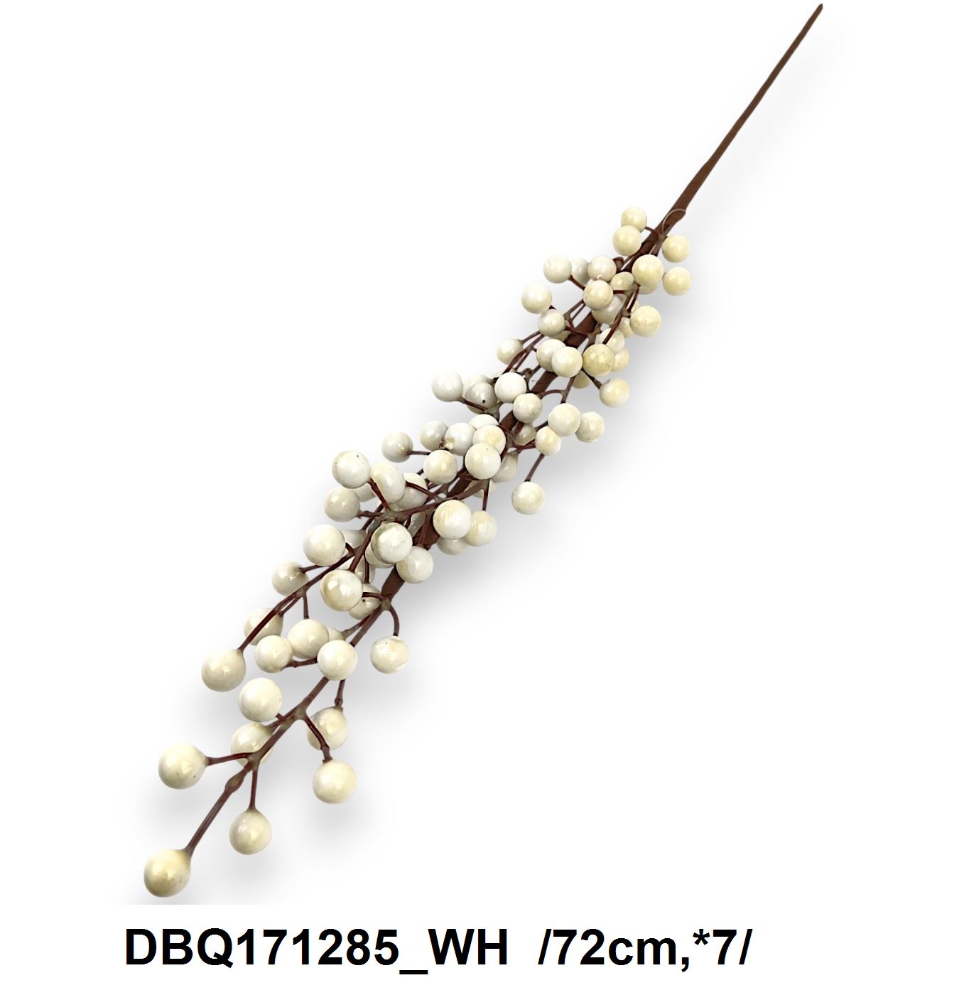 DBQ171285_WH