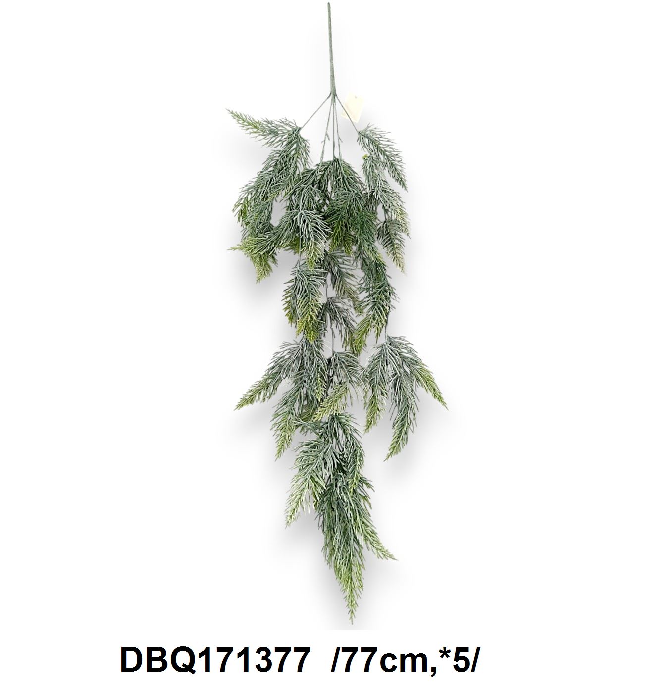 DBQ171377