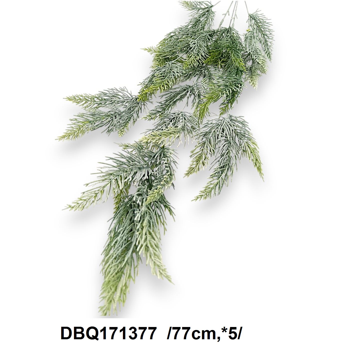 DBQ171377