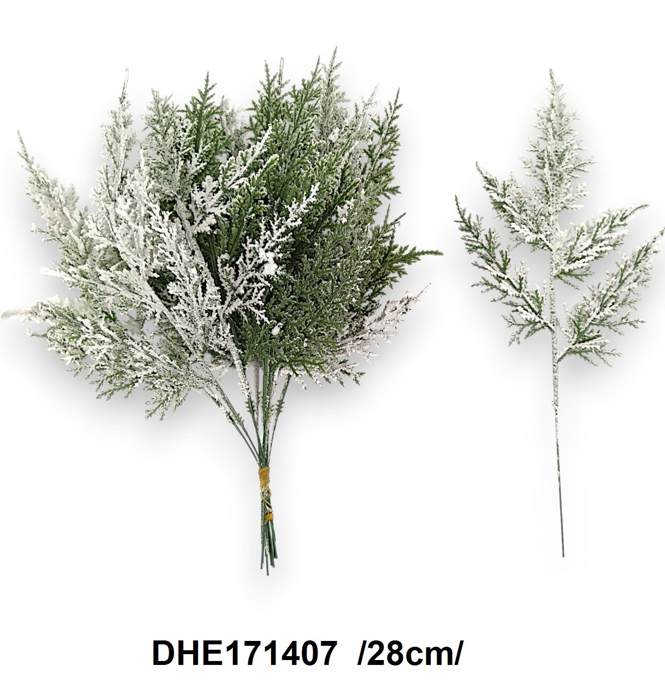 DHE171407