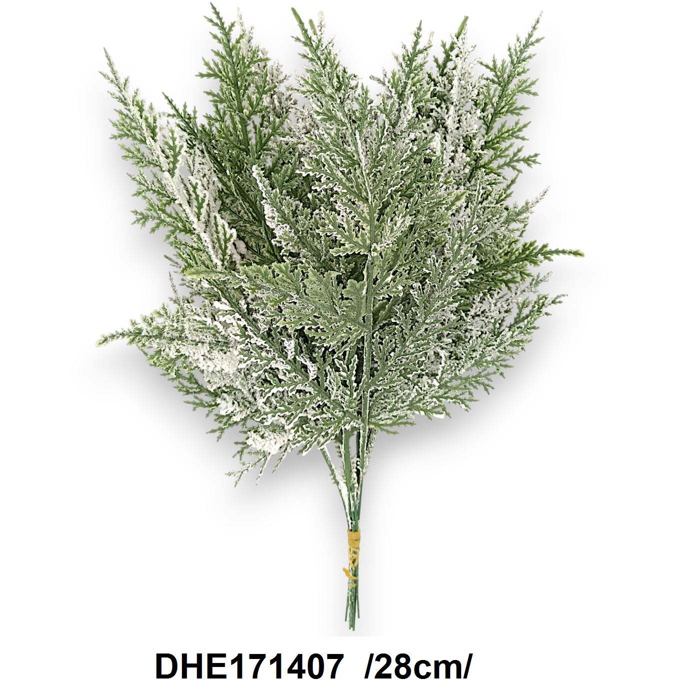 DHE171407