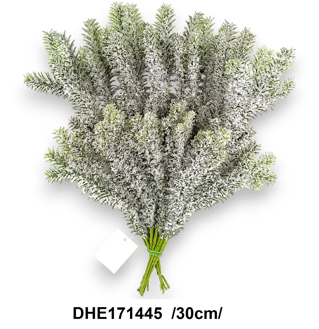 DHE171445