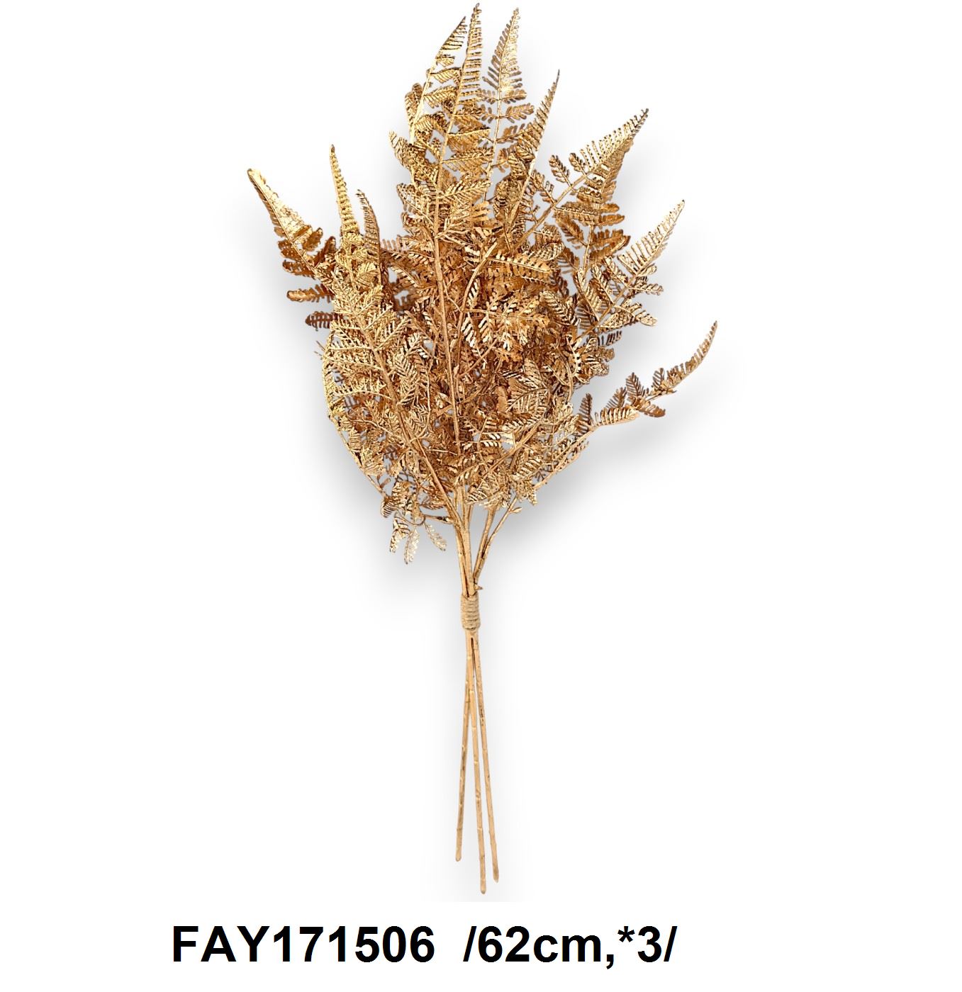 FAY171506