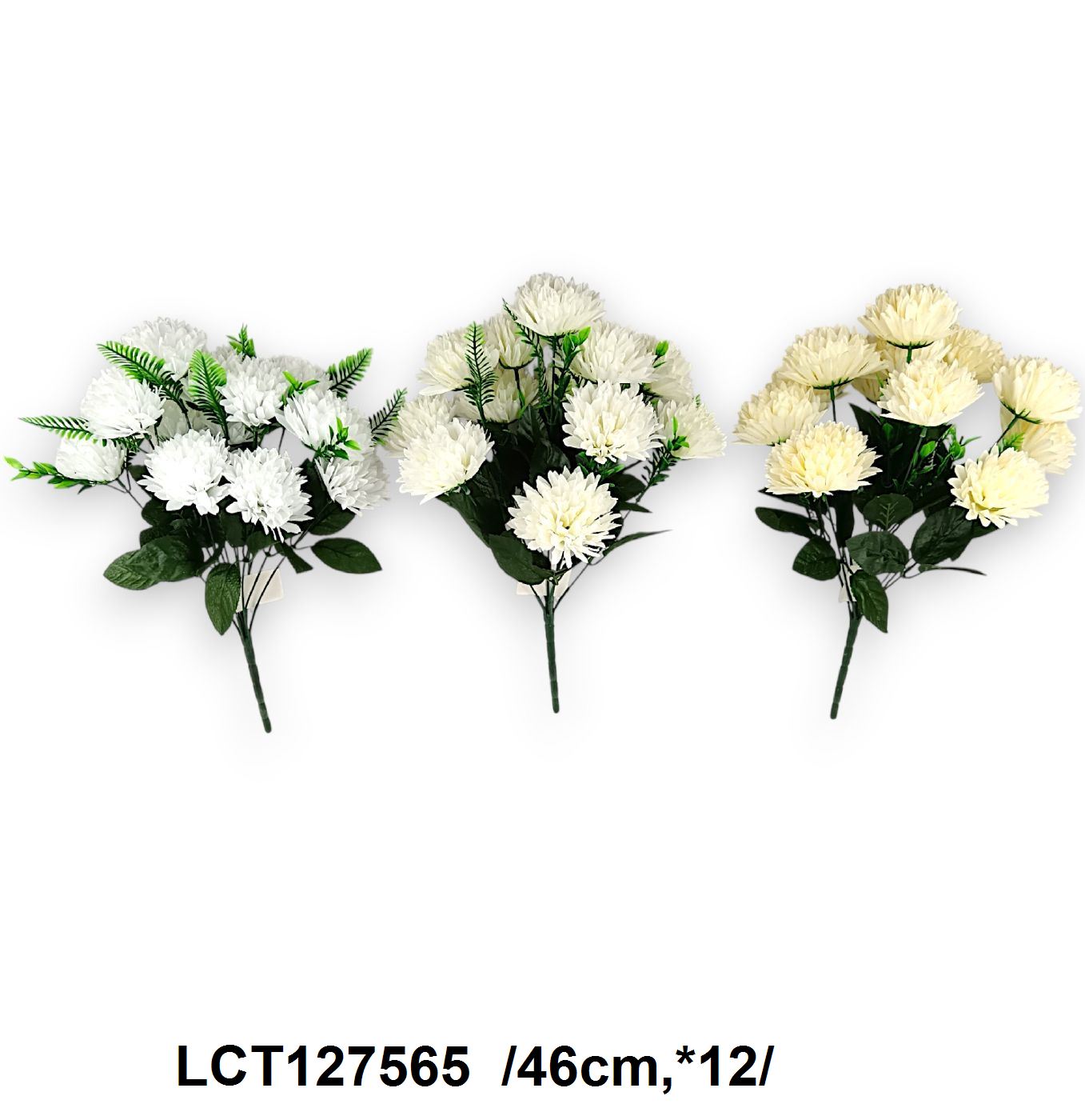LCT127565