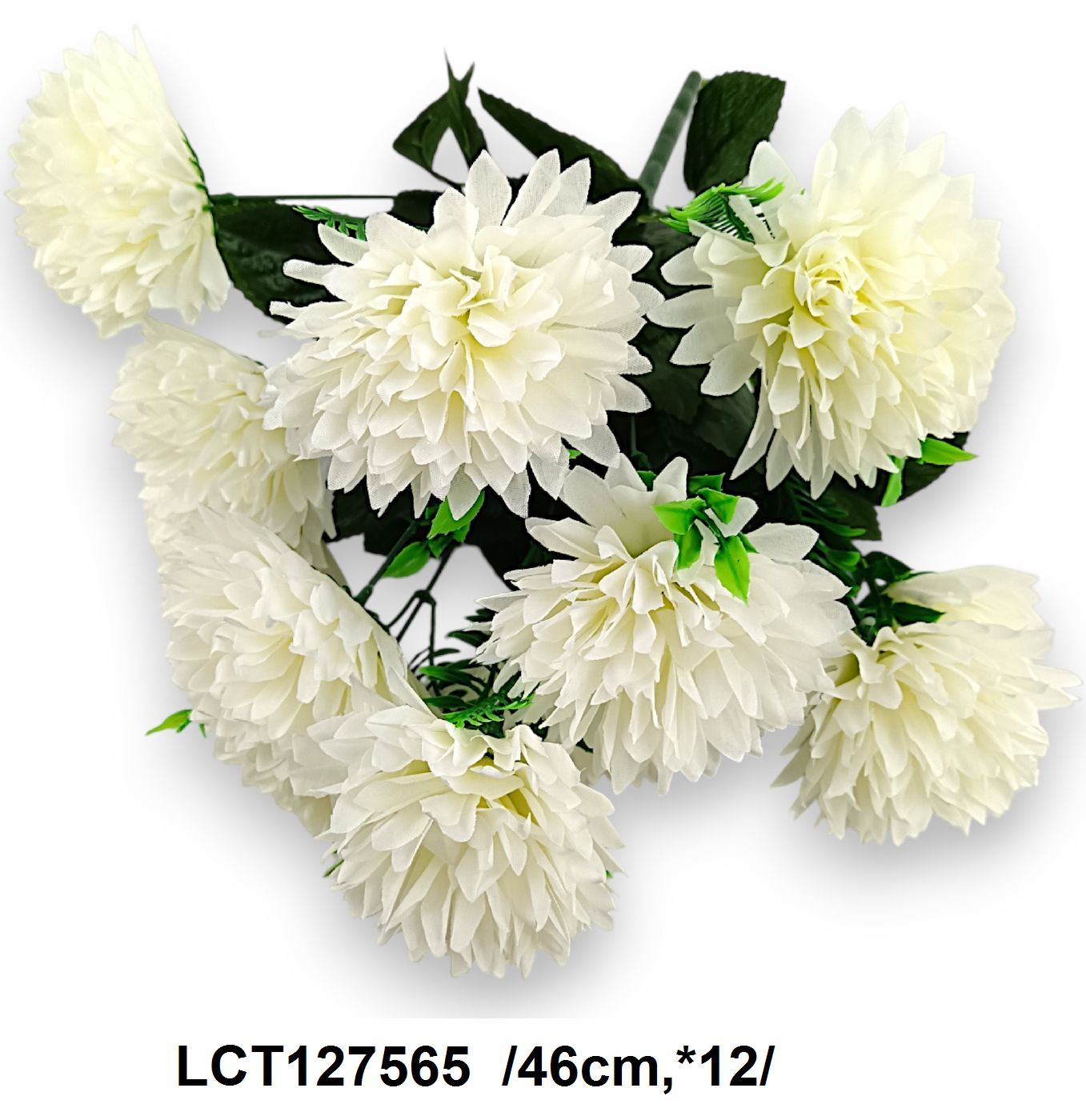 LCT127565