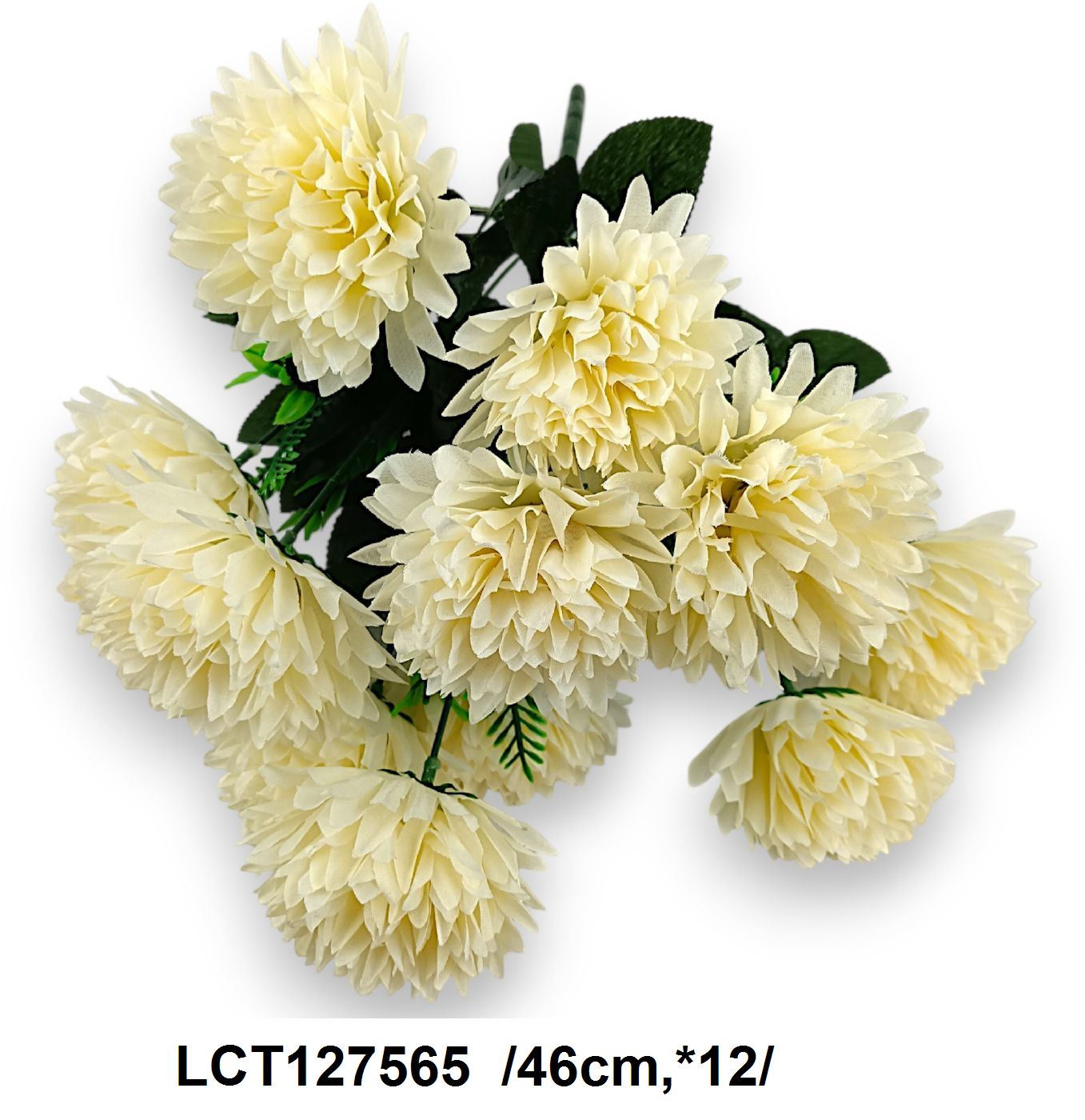 LCT127565