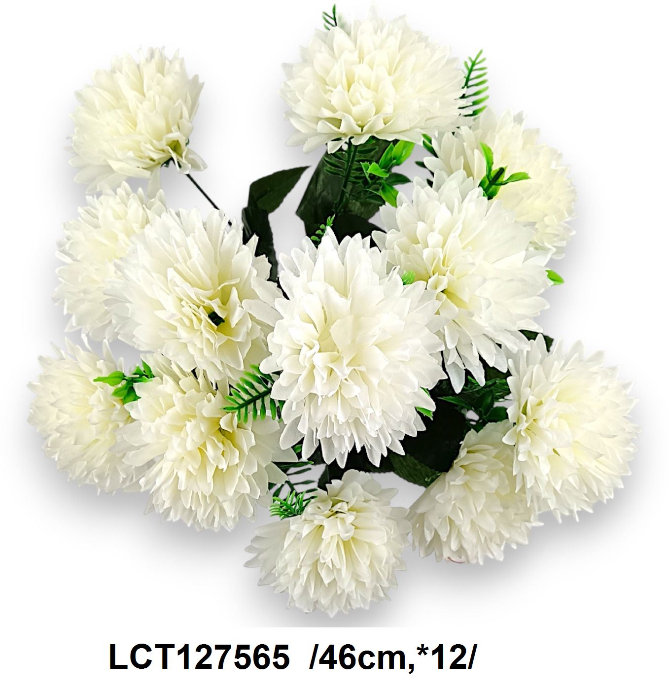 LCT127565