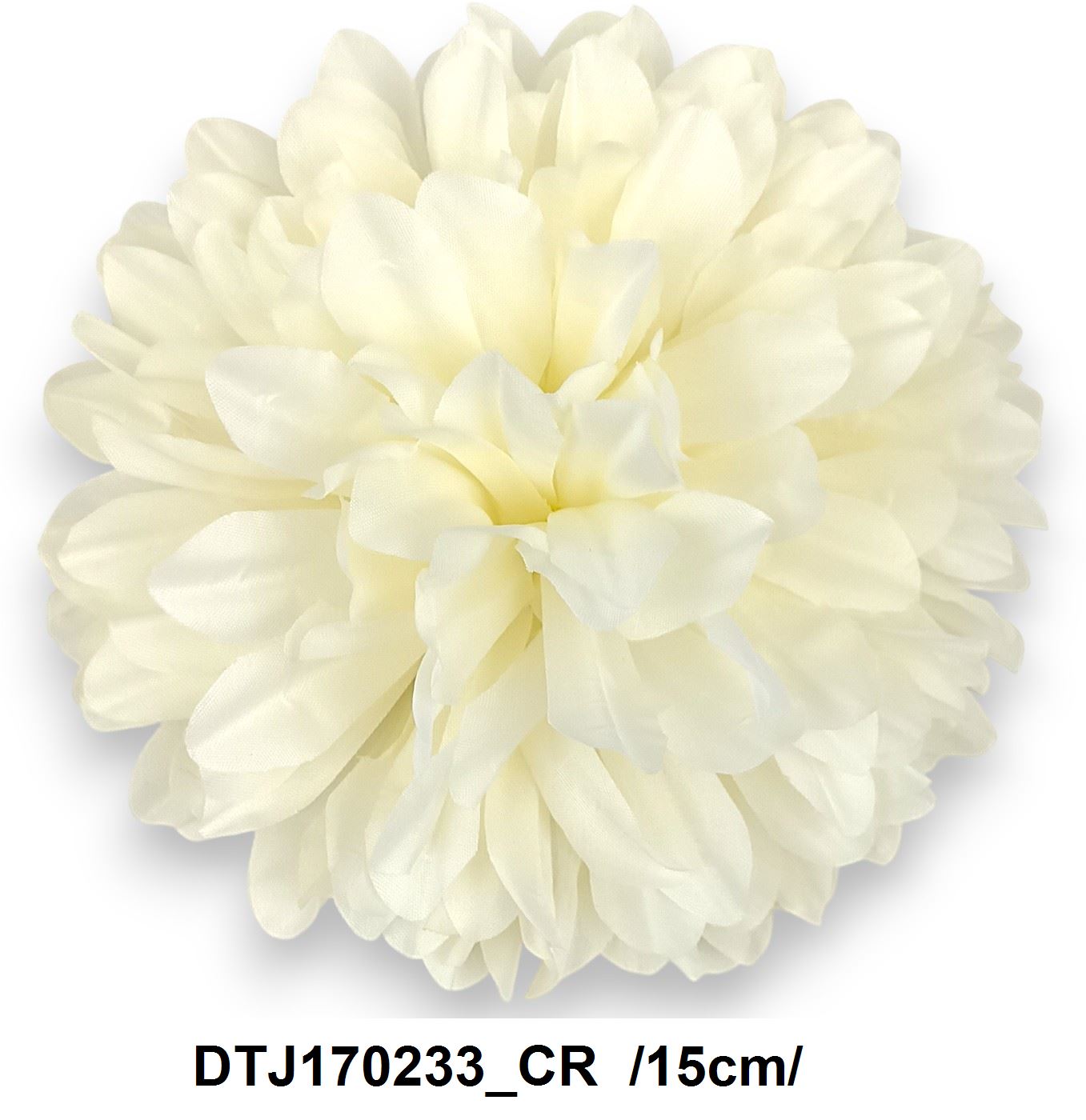 DTJ170233_CR