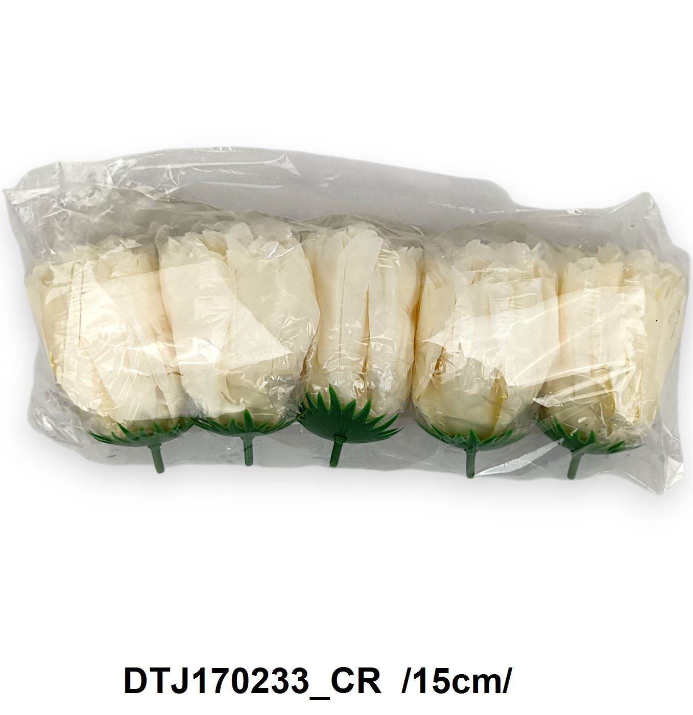 DTJ170233_CR