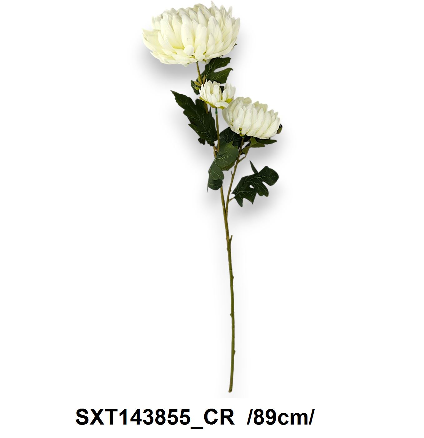 SXT143855_CR